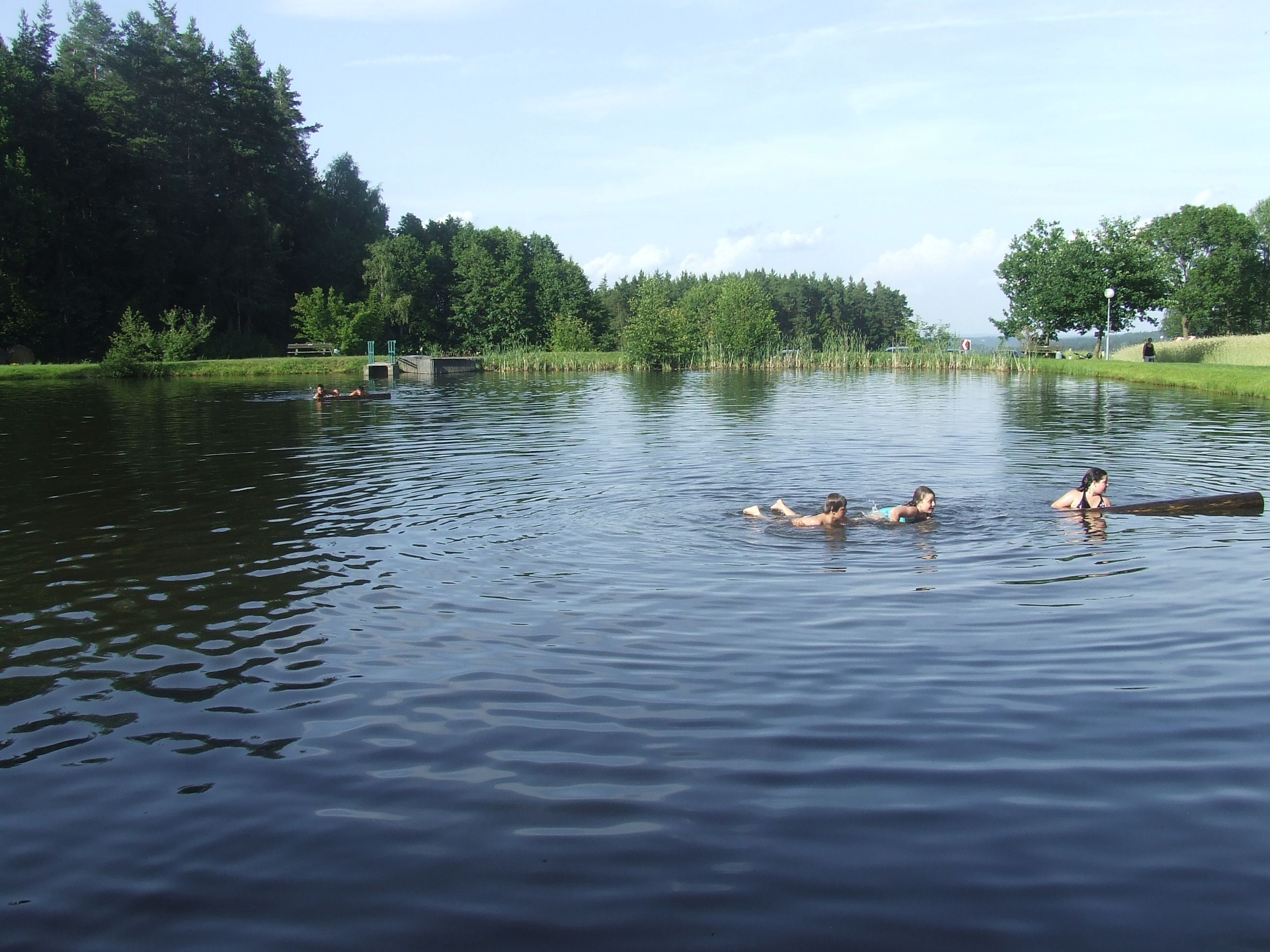 Menschen schwimmen in einem Naturbadeteich umgeben von Bäumen.