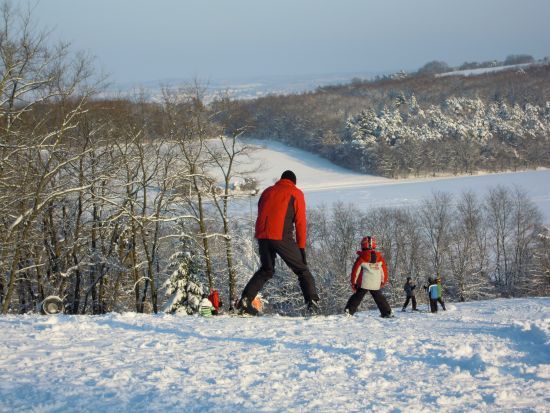 Menschen beim Skifahren auf einem schneebedeckten Hügel mit Bäumen im Hintergrund.