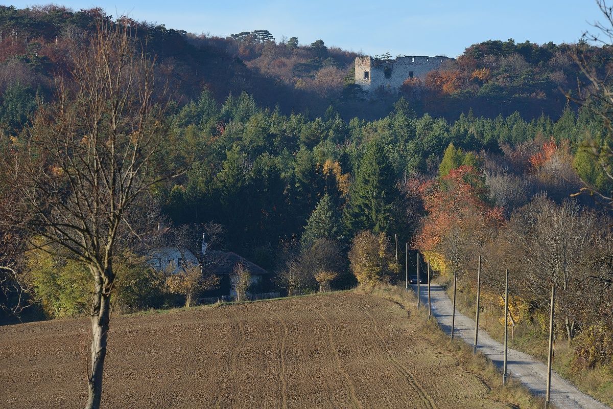 Blick zur Ruine Merkenstein