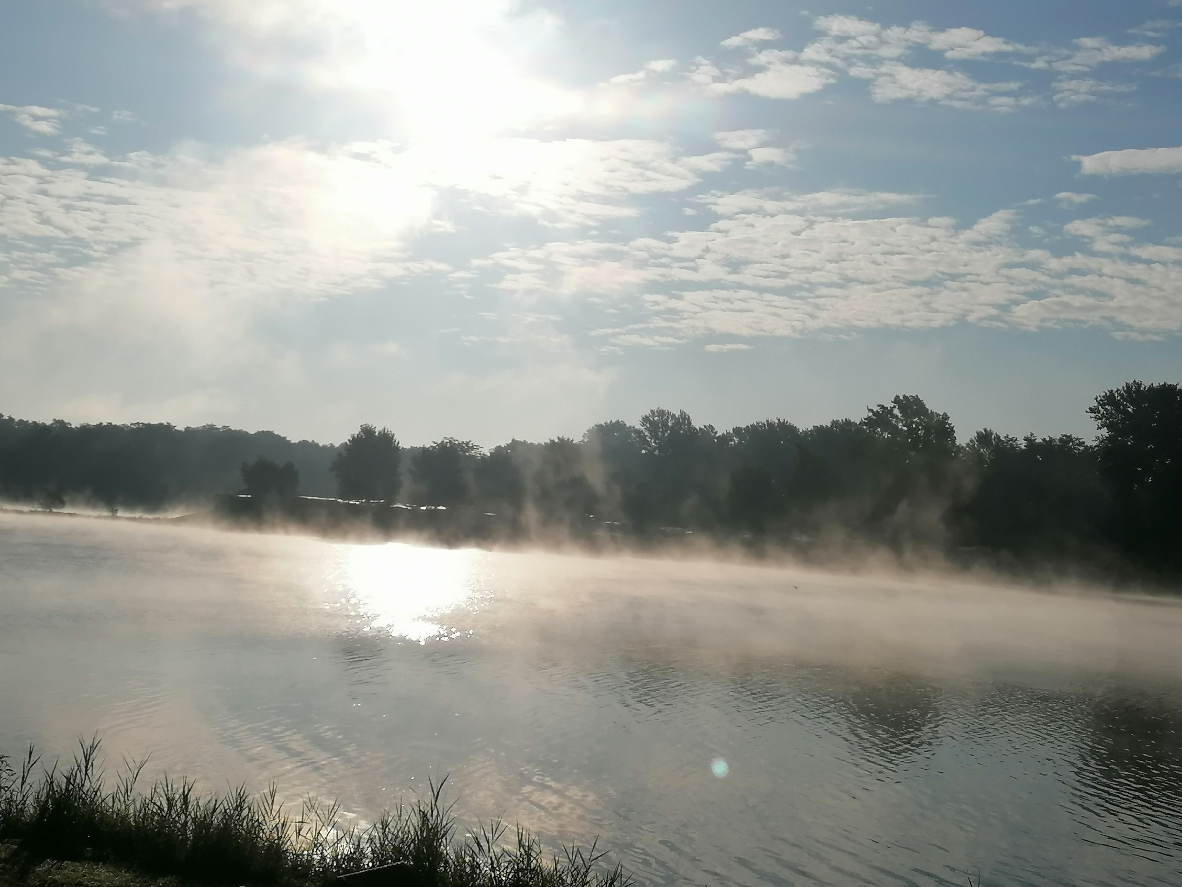 Ein nebliger See bei Sonnenaufgang mit Bäumen im Hintergrund.
