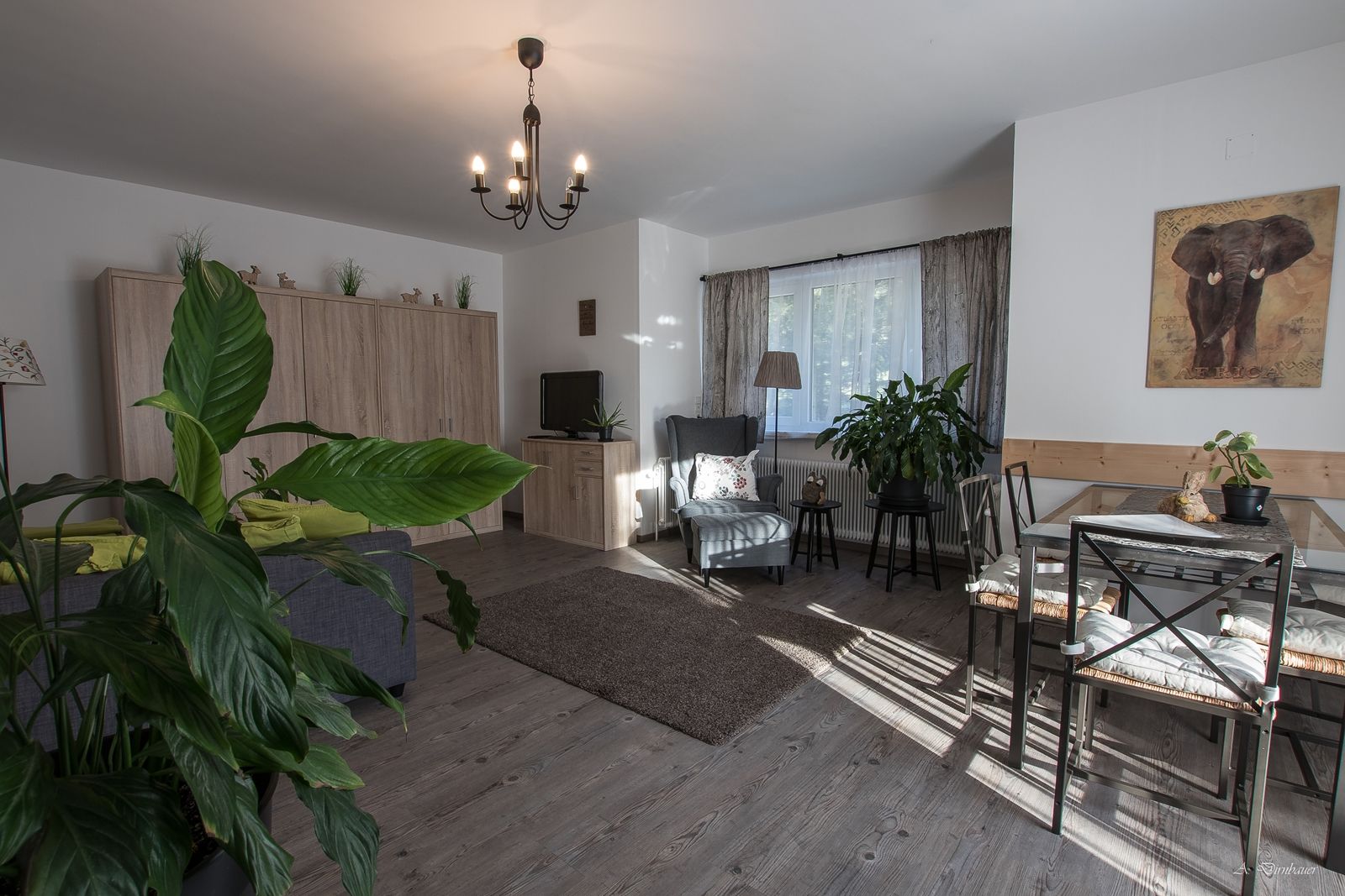 Gemütliches Wohnzimmer mit Pflanzen, Esstisch und Sofa.