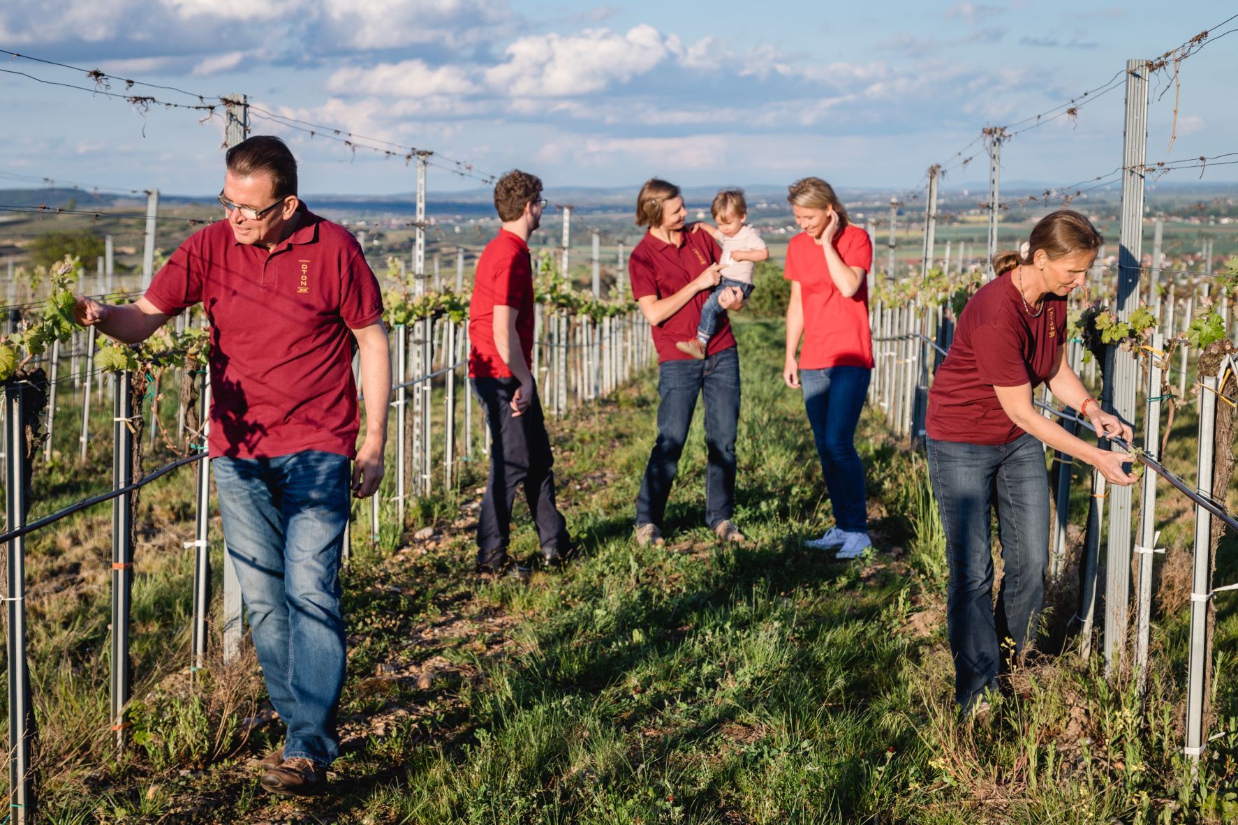 Familie Amon bei der Weinlese