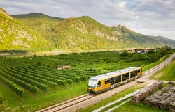 Die sanften Hügel, bedeckt mit üppigen Weinreben, laden zu einem entspannenden Ausblick ein. Ein Zug gleitet gemächlich entlang der Gleise, während die Natur in voller Pracht erblüht und die ruhige Atmosphäre des Sommers in den Bergen spürbar ist.