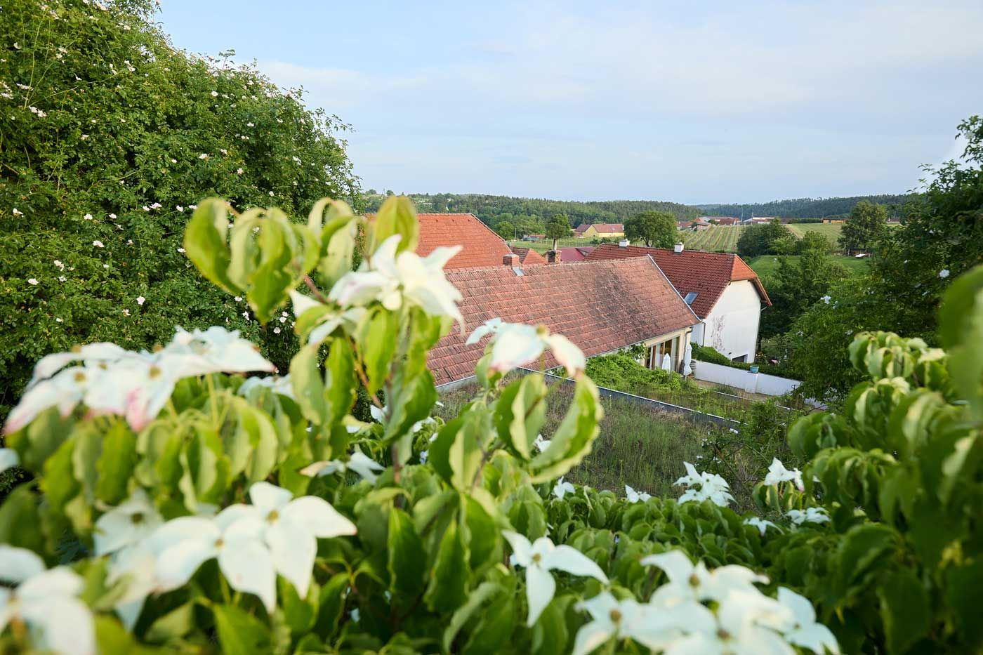 Ausblick