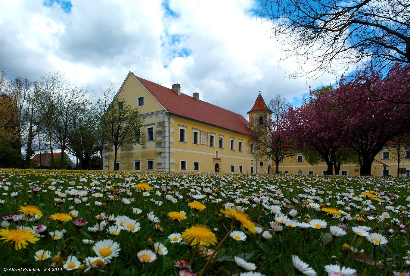 Schloss Atzenbrugg mit blühender Wiese im Vordergrund.