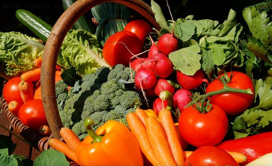 Frisches Gemüse in verschiedenen Farben und Formen, arrangiert nebeneinander; natürliche Lebensmittel in appetitlicher Darstellung.