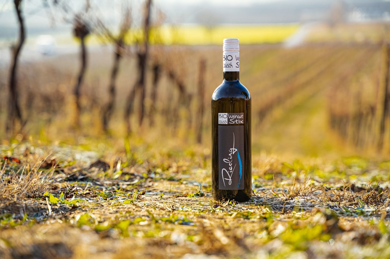 Eine Flasche Bio-Wein vom Weingut Stix steht in einem Weinberg.
