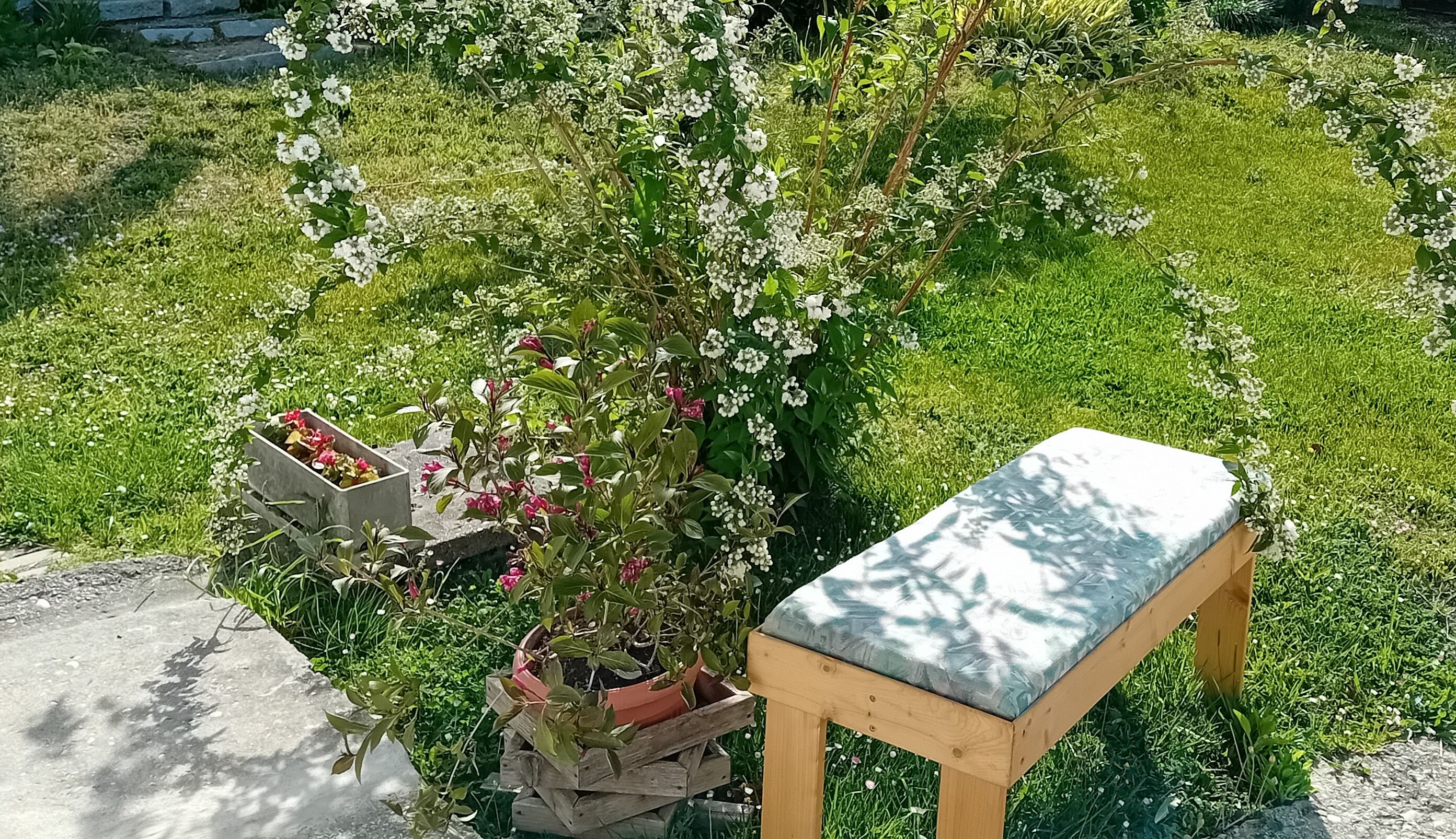 Ein grüner Garten mit einer Holzbank, umgeben von blühenden Pflanzen und Blumen.
