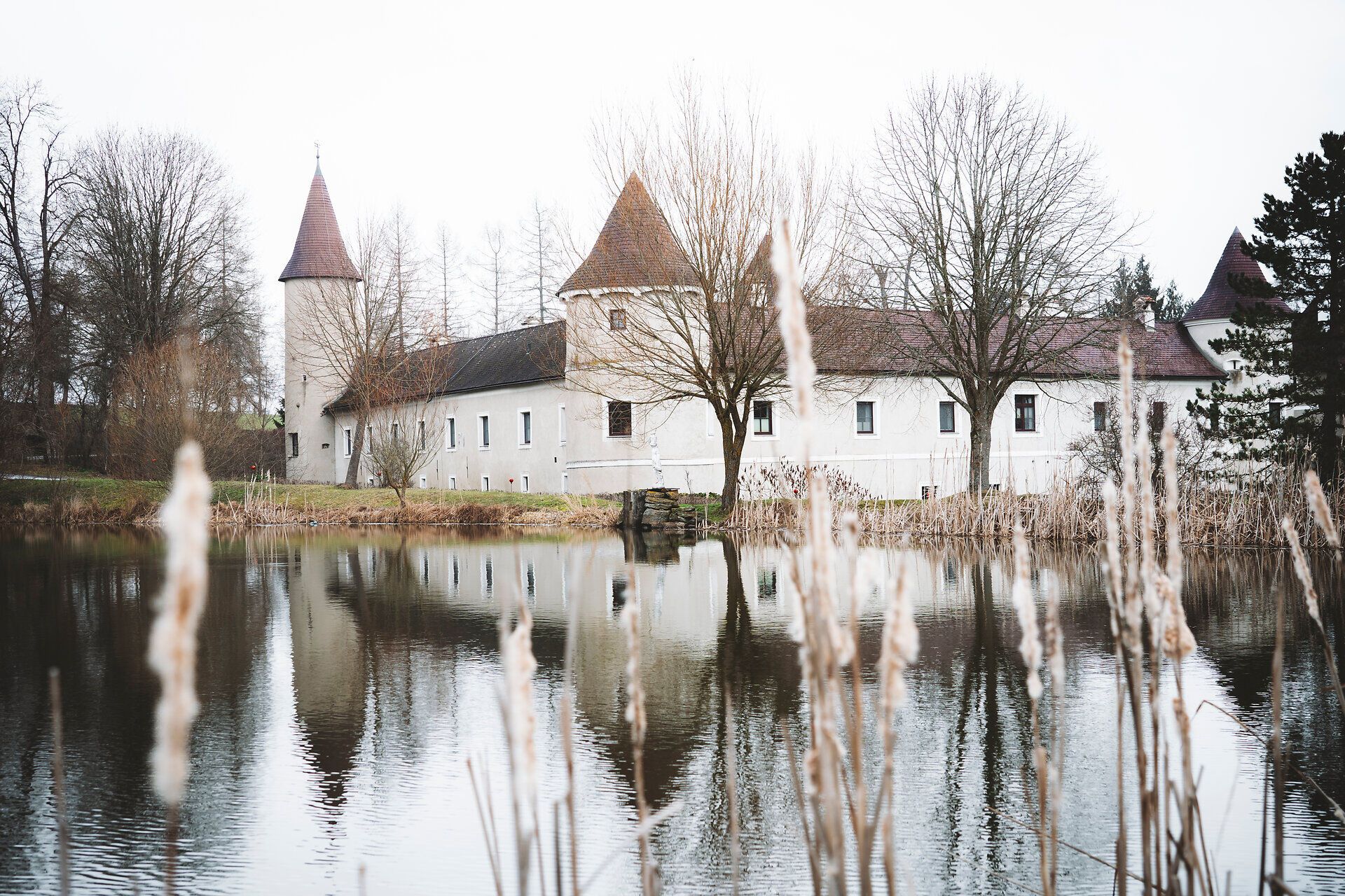 Schloss Waldreichs spiegelt sich in einem ruhigen Teich, umgeben von kahlen Bäumen und Schilf.
