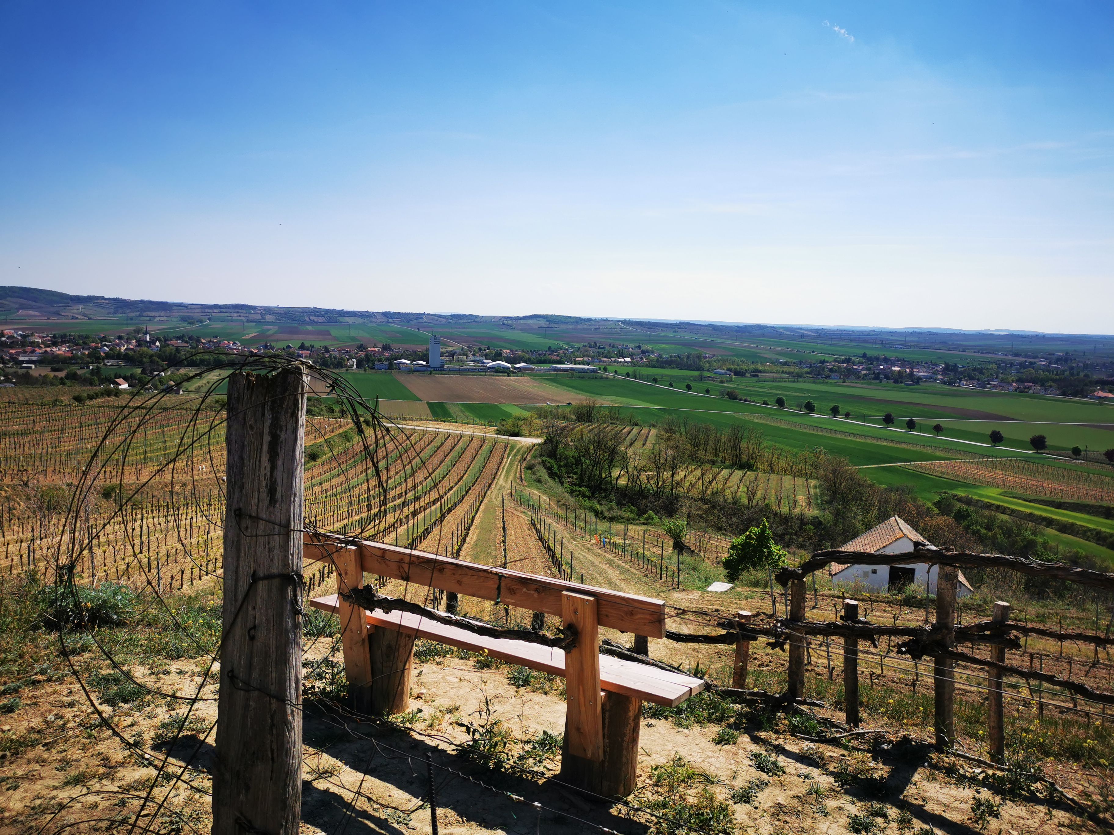 Aussicht auf Weinberge und Felder von einem Rastplatz mit Bank und Holzzaun.