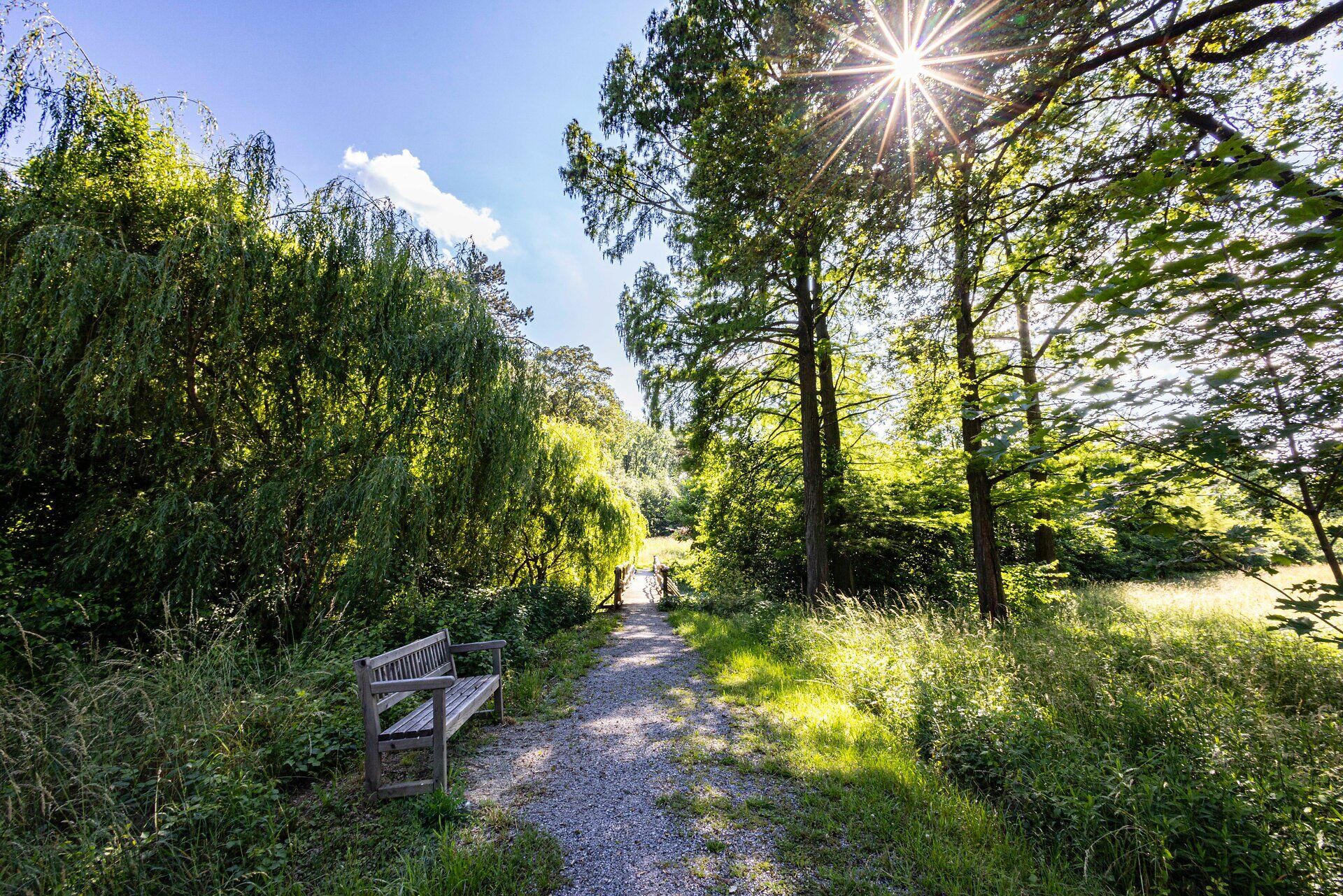 Weg mit Holzbank im Schlosspark Eckartsau. 