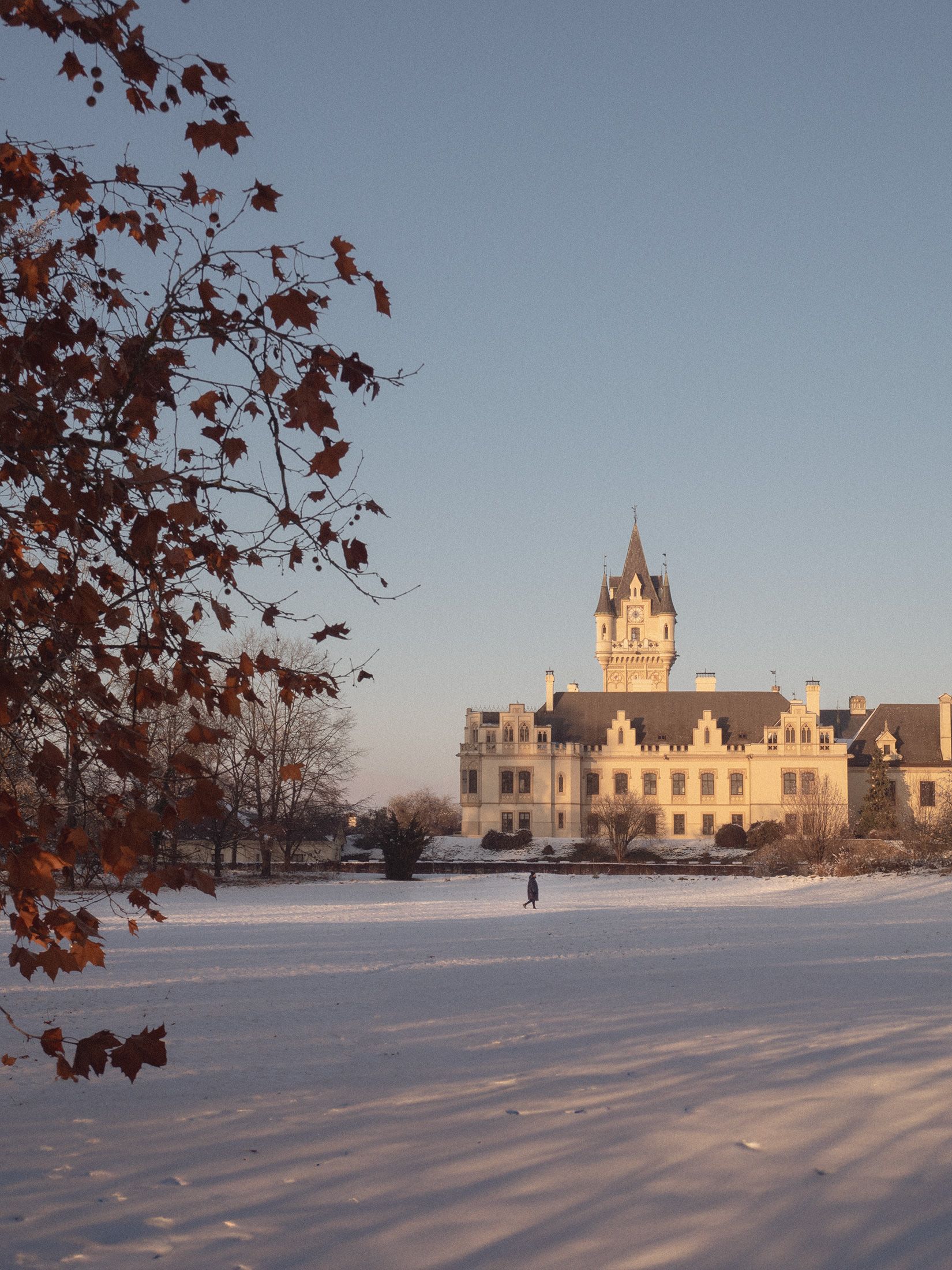 Schloss Grafenegg