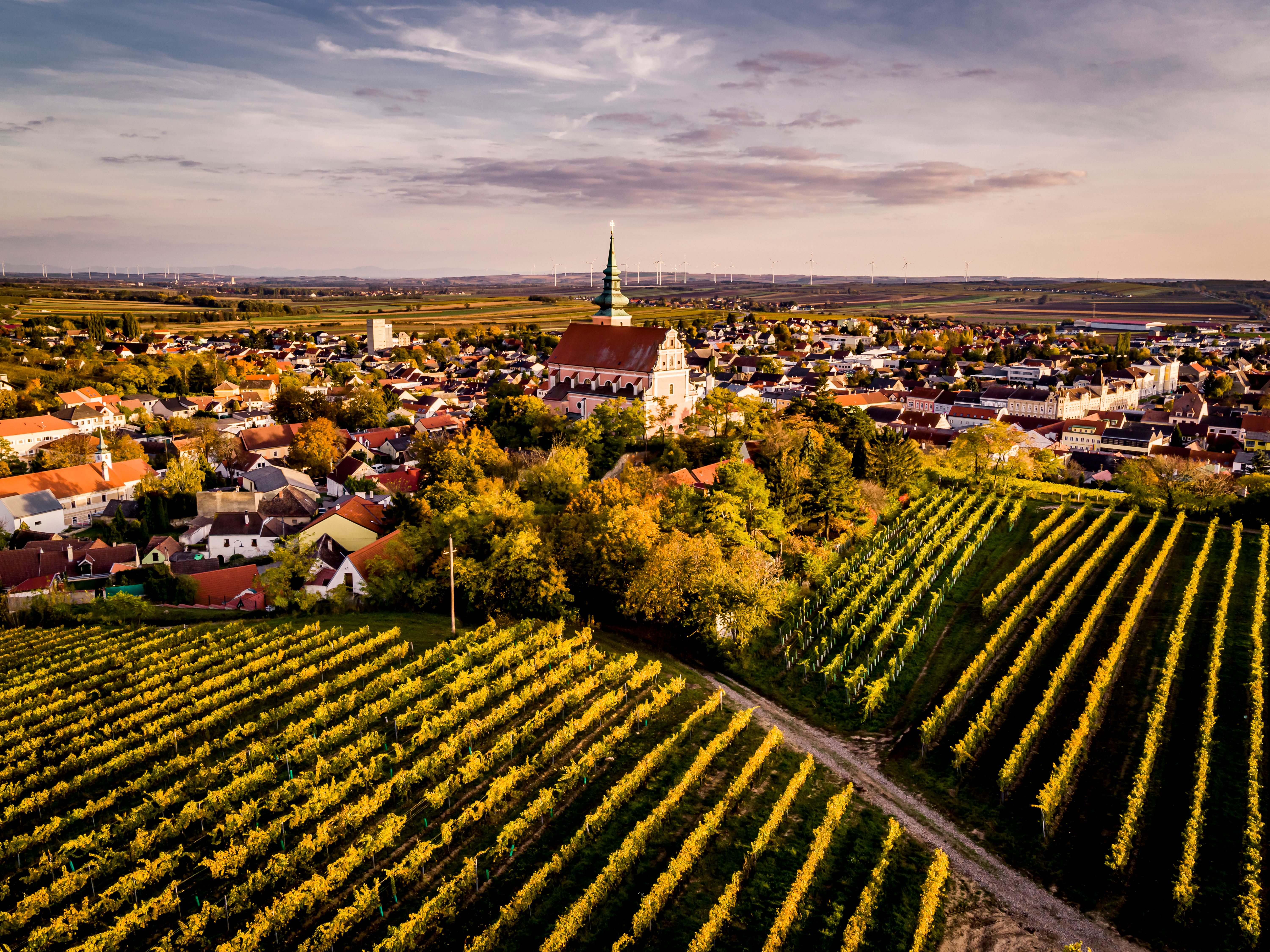 Luftaufnahme einer Stadt mit Kirche und Weinbergen im Vordergrund.