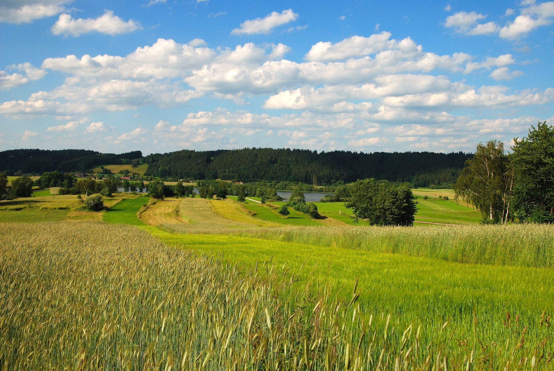 Foto: Archiv Waldviertel Tourismus; Foto: Reinhard Mandl