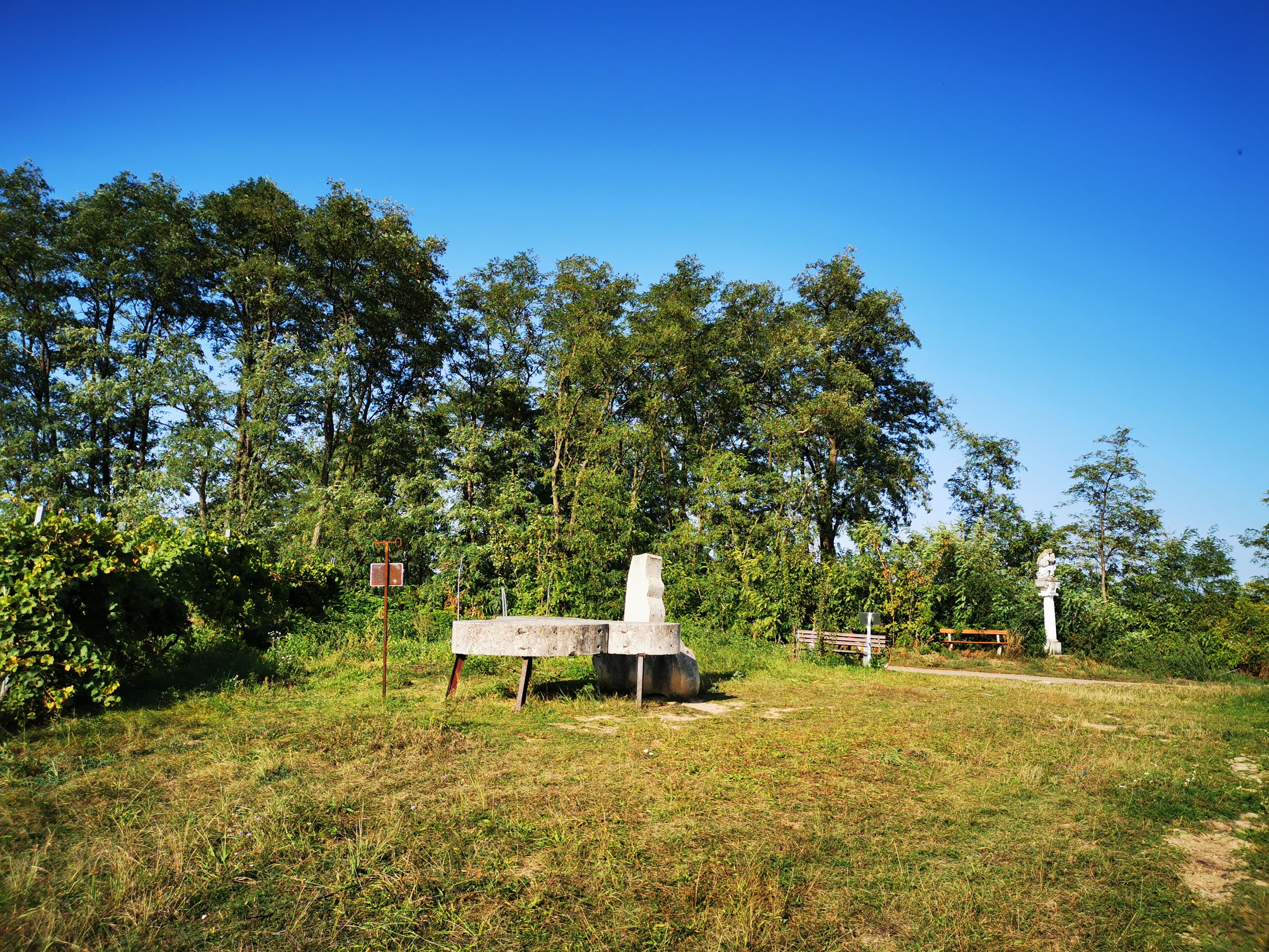 Wiese mit Bänken und Skulpturen vor Bäumen und blauem Himmel.