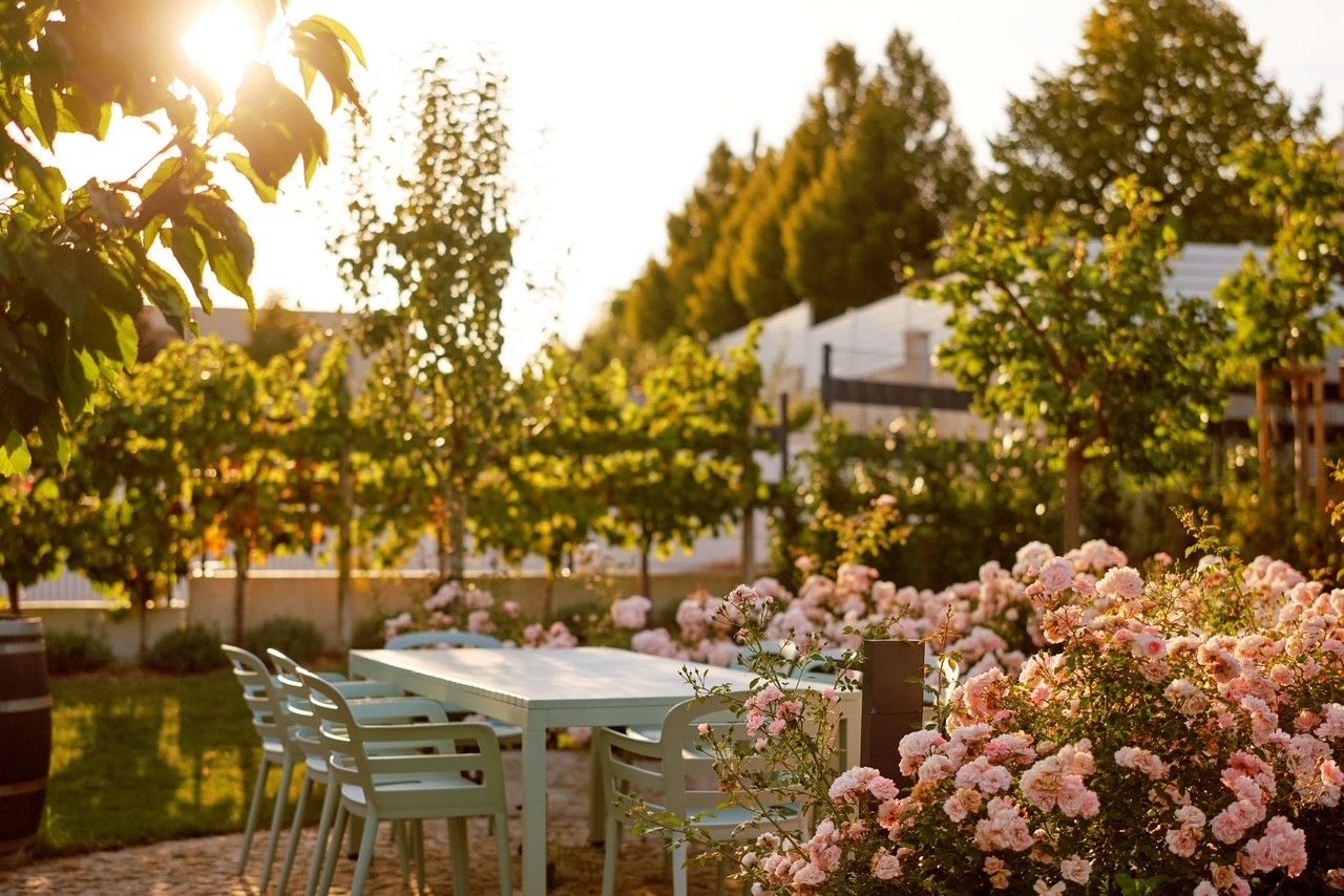 Ein Garten mit einem Tisch und Stühlen, umgeben von blühenden Rosen und Bäumen im Sonnenlicht.