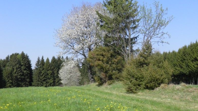 familienurlaub_am_bio-bauernhof04cpeter_hoebarth_3