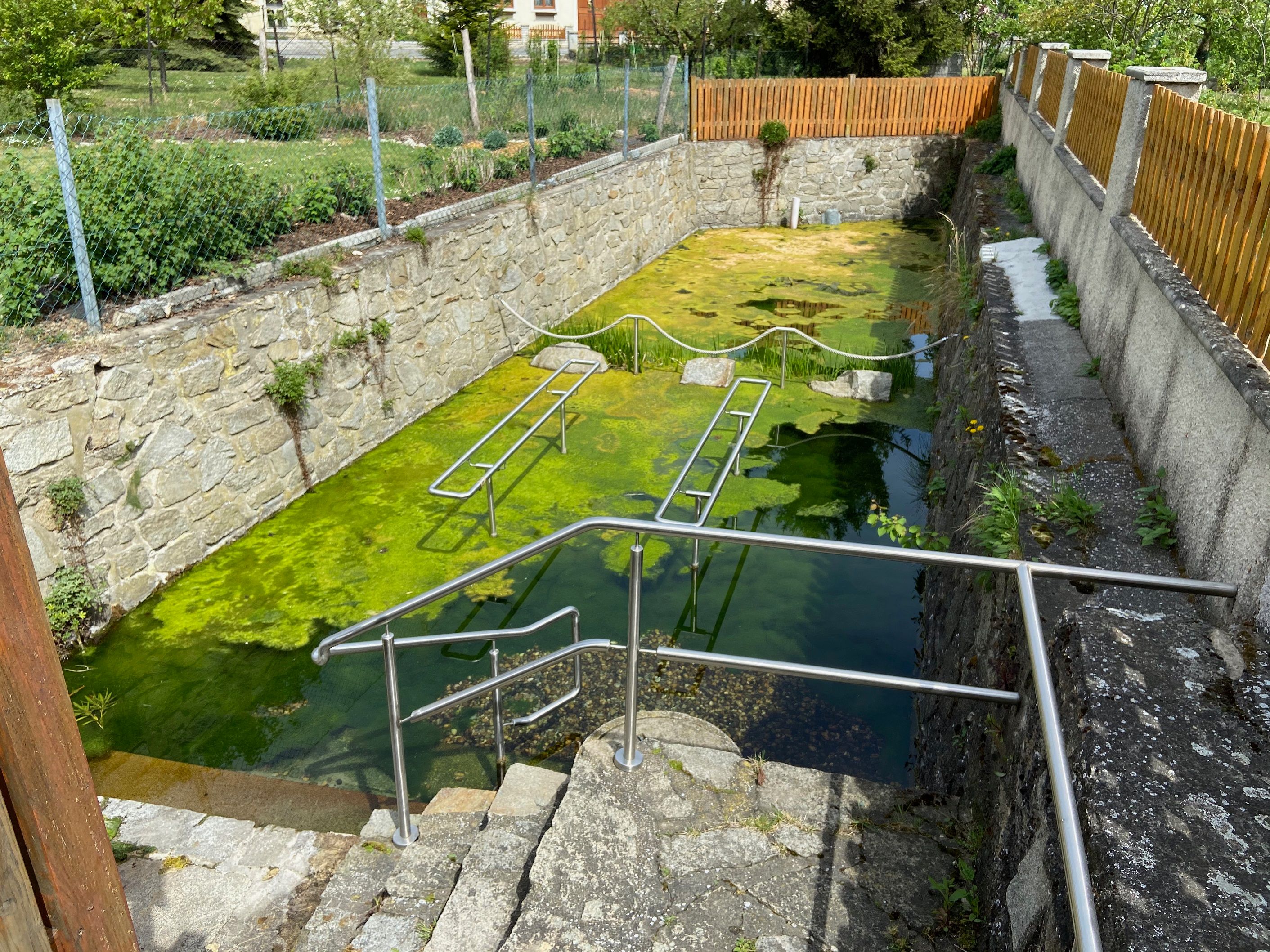 Wassertretanlage mit grünem Wasser und Metallgeländer.