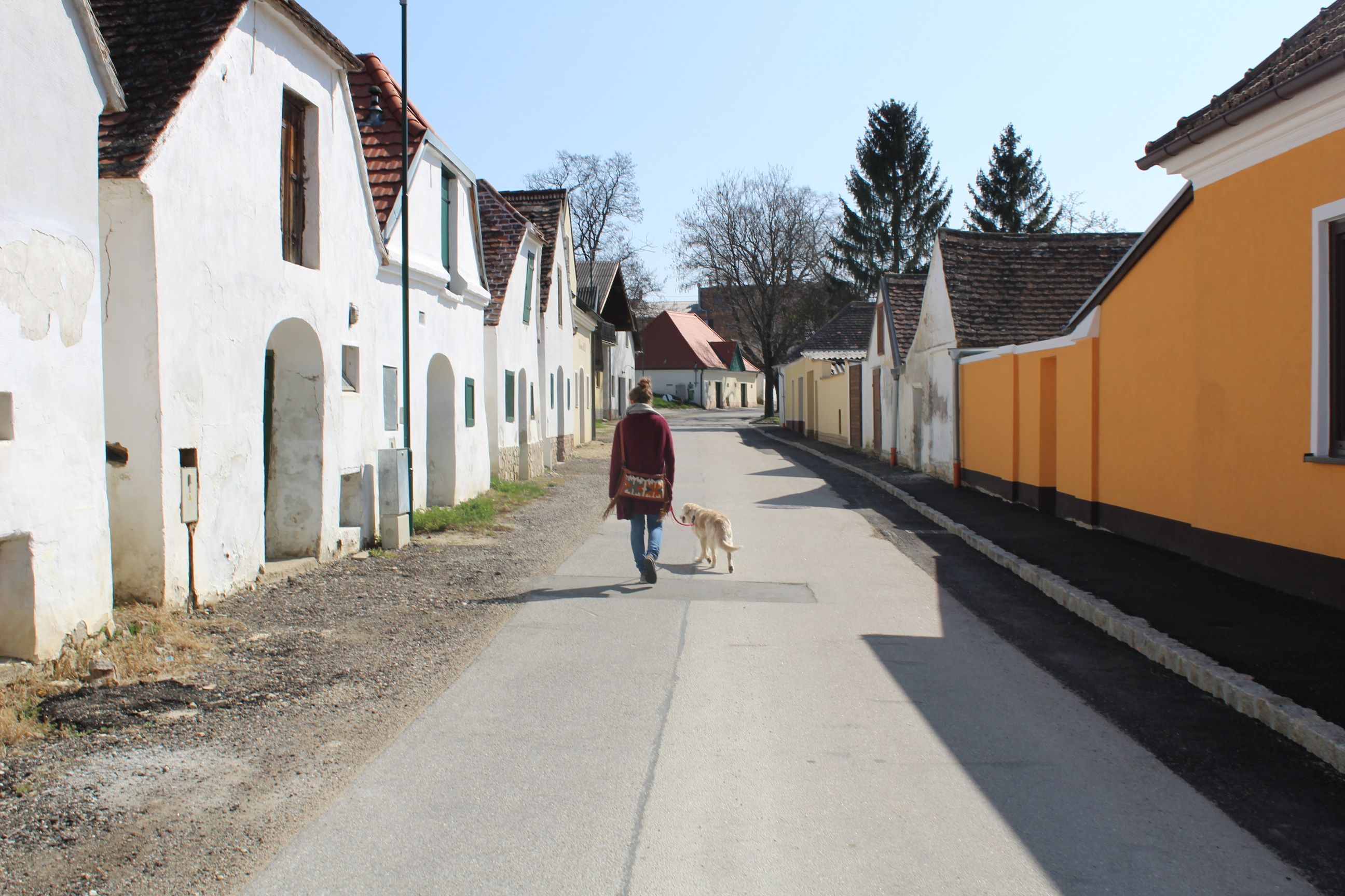Person mit Hund in der Kellergasse Mailberg, umgeben von traditionellen Gebäuden.