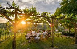 Kellergasse mit Weinkellern und Weinreben, blauer Himmel.