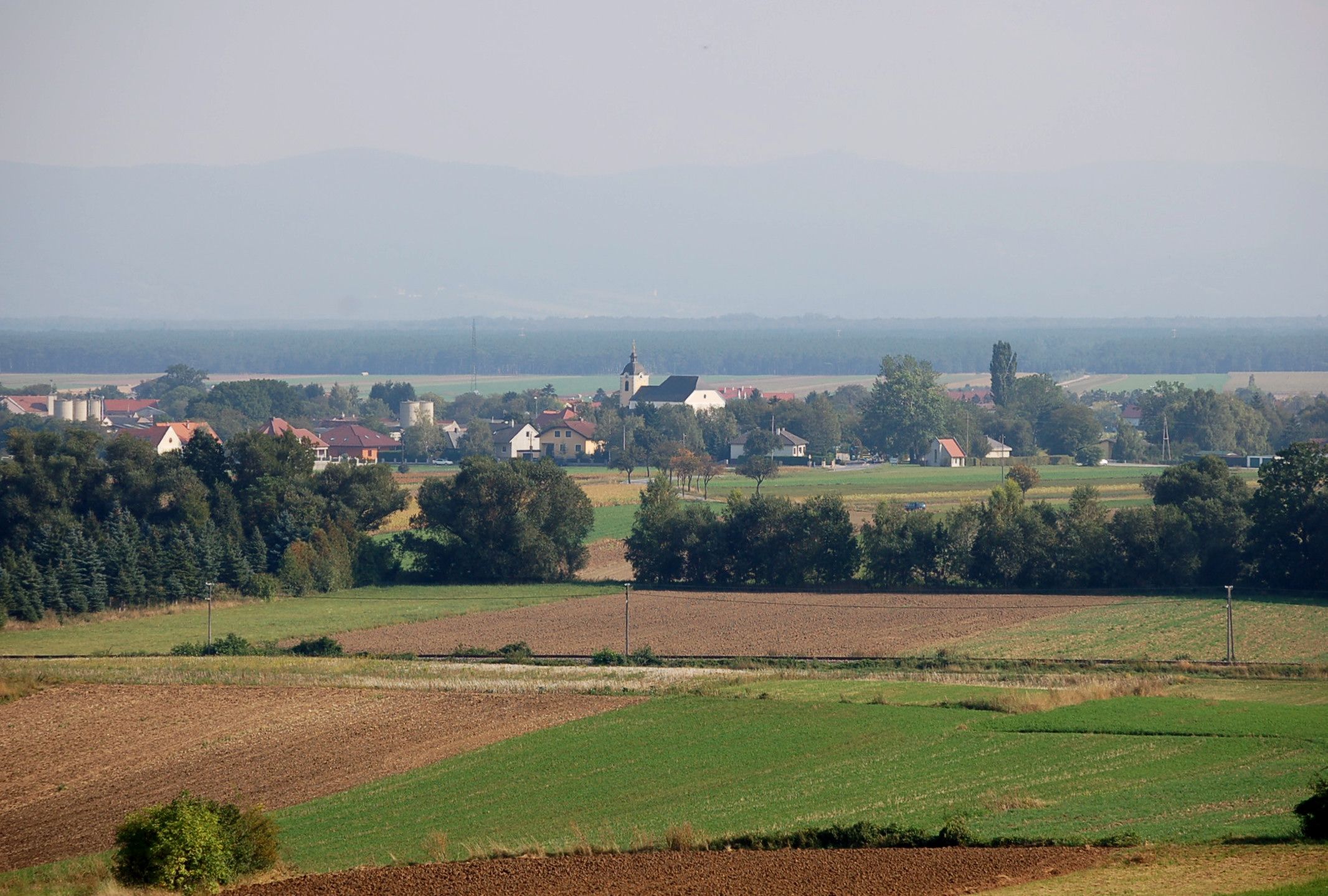 Landschaft mit Feldern und Dorf im Hintergrund, Weikersdorf am Steinfelde.