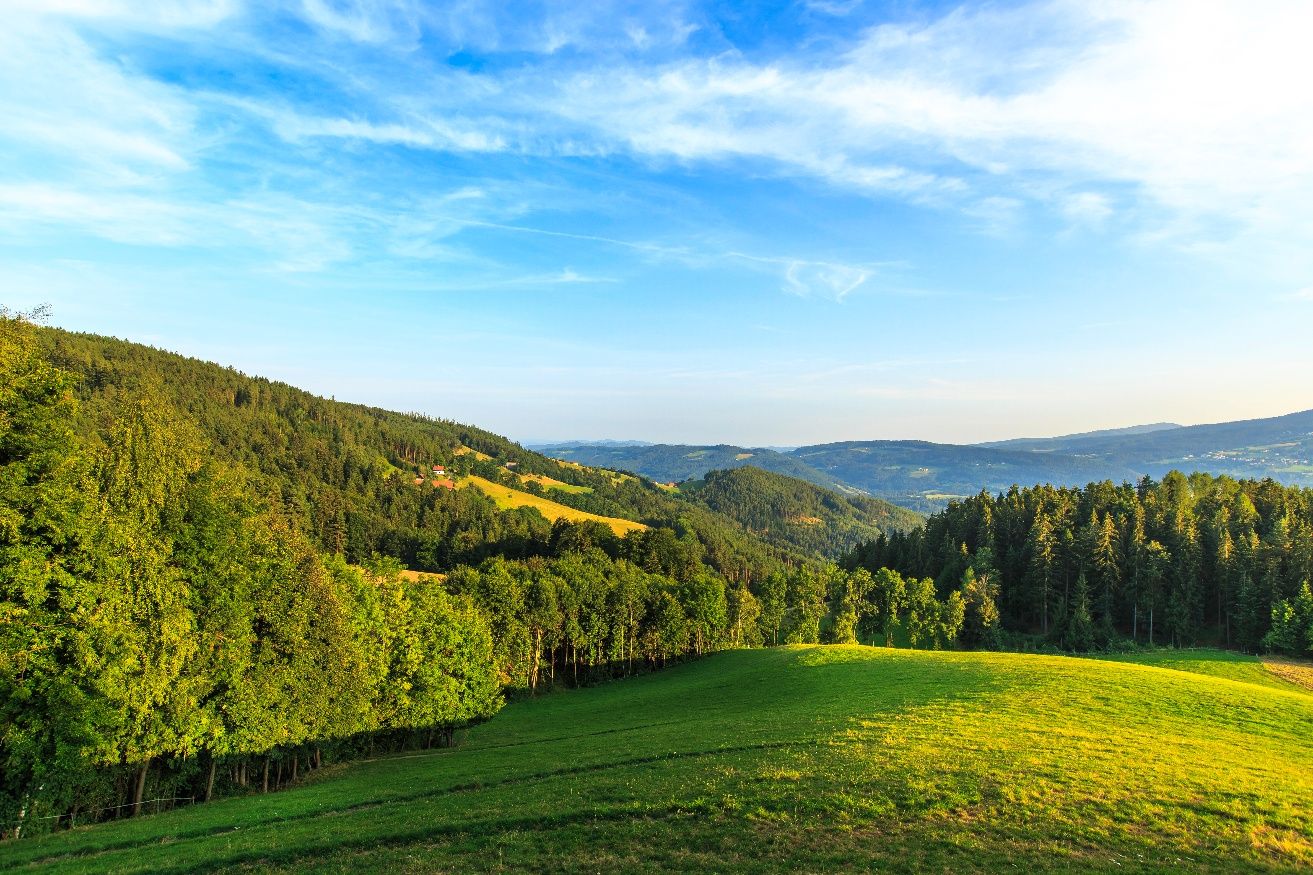 Tannhof mit Blick auf St.Corona