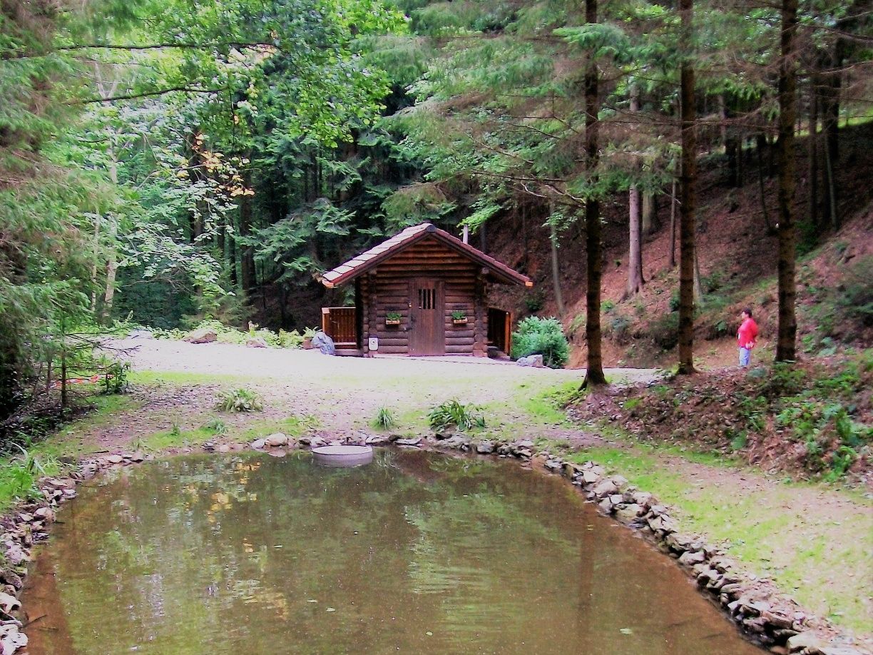 Weg zum Hohen Stein und nach Möltern