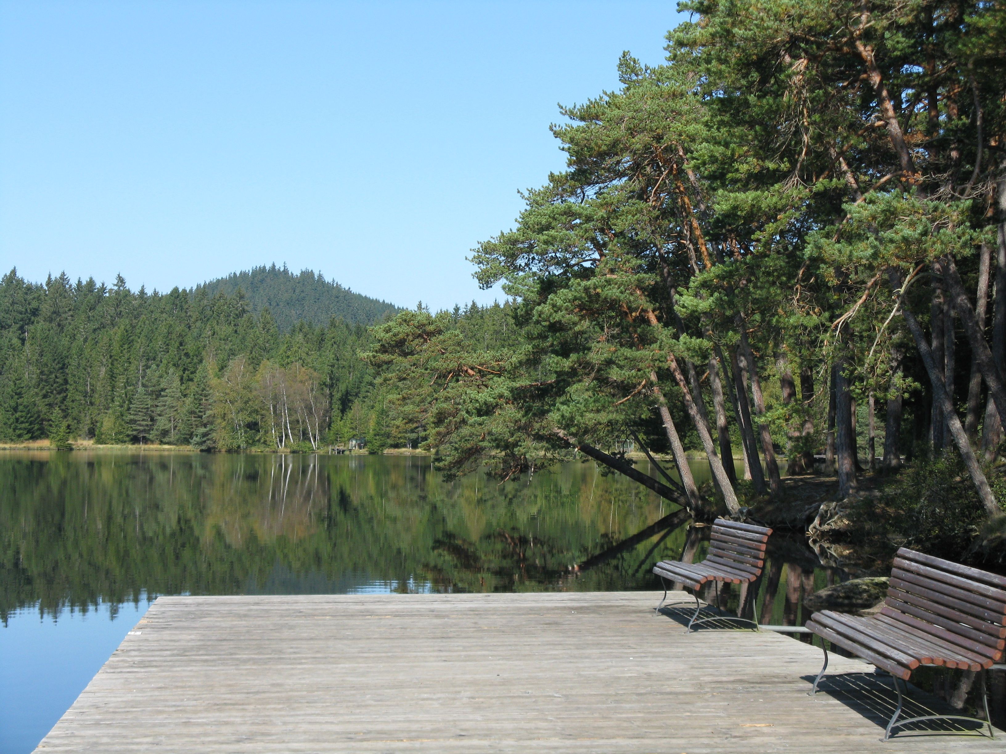 Holzsteg mit Bänken am Edlesberger See, umgeben von Wald.