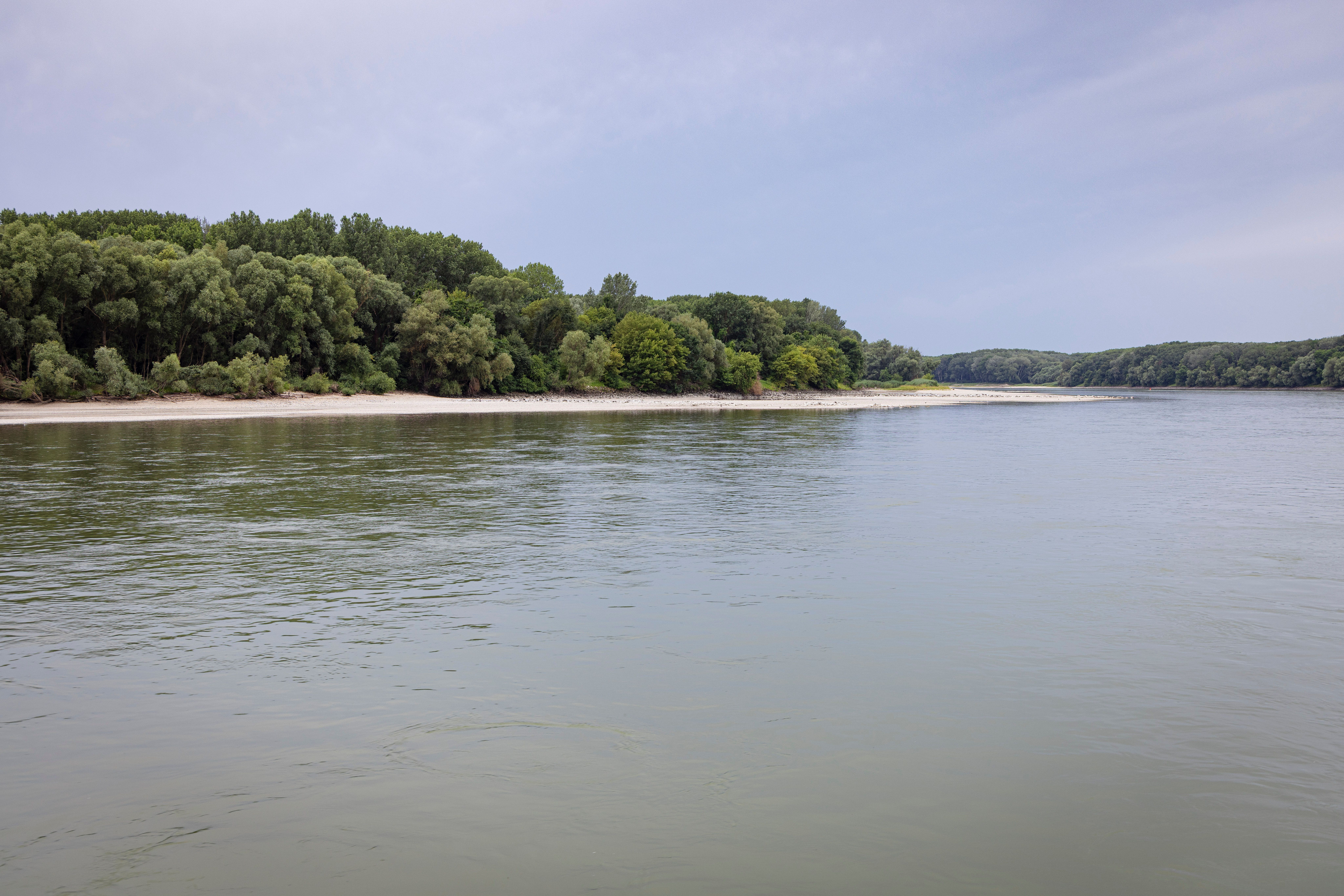 Flusslandschaft mit bewaldetem Ufer und ruhigem Wasser.