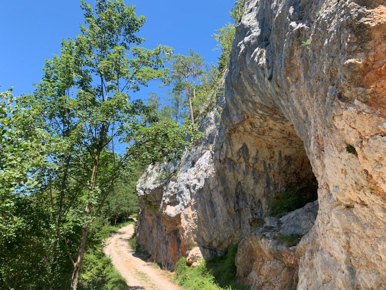 Ein Wanderweg im Naturpark Falkenstein führt an einer Felswand mit Höhle vorbei, umgeben von Bäumen und blauem Himmel.