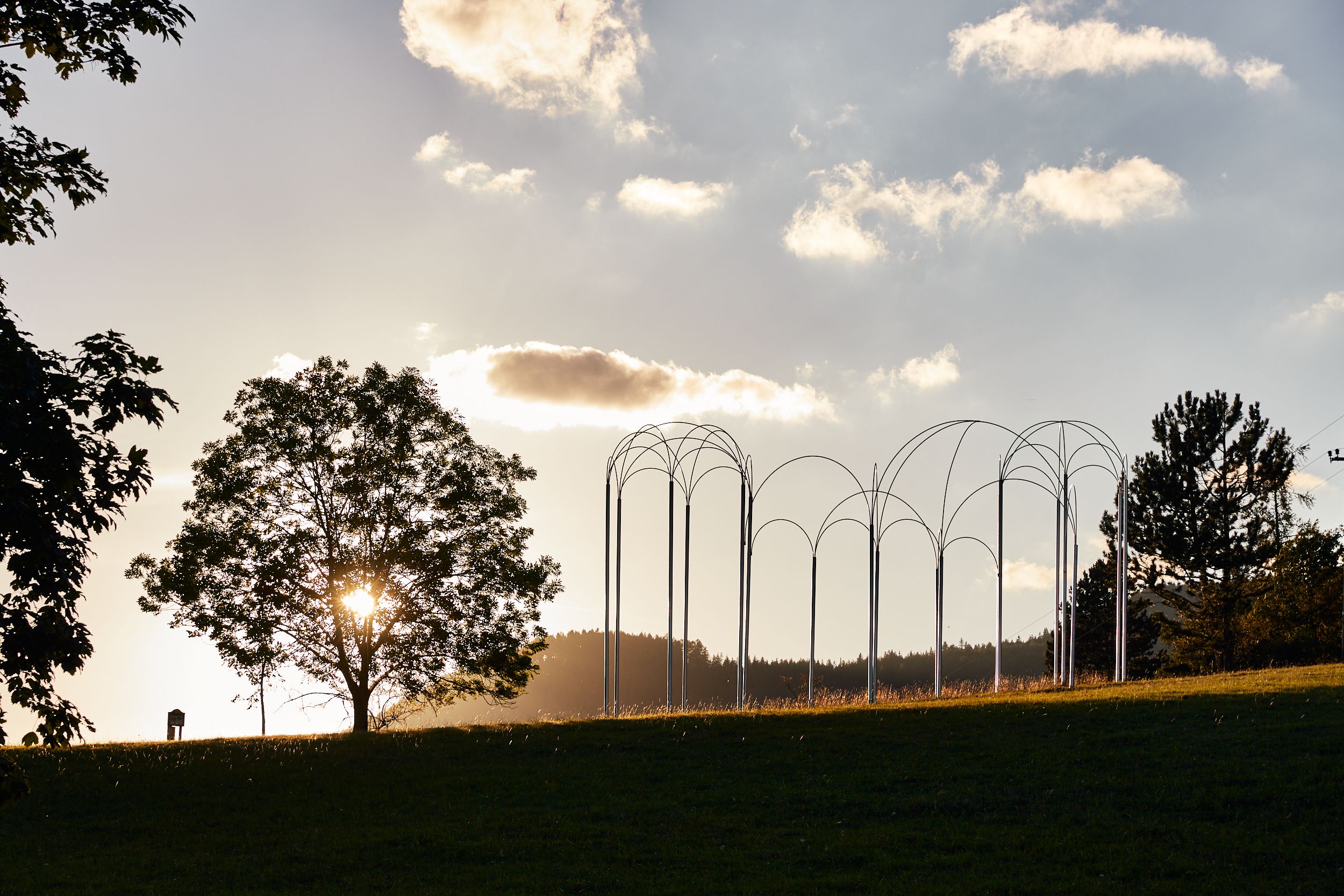 Ein Baum und eine Metallskulptur auf einer Wiese bei Sonnenuntergang.