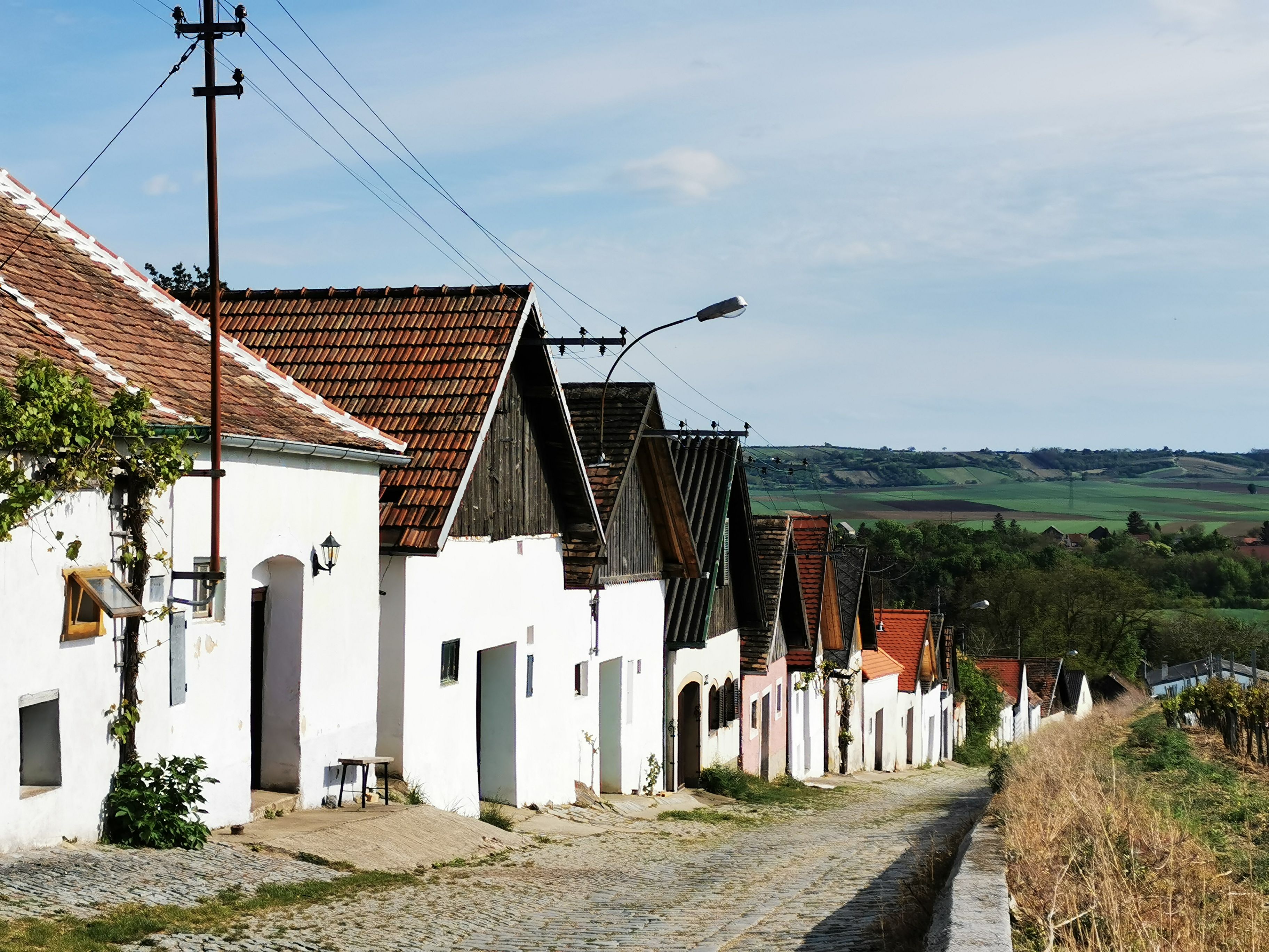 Reihe von Weinkellern in Haugsdorf mit roten Dächern und weißer Fassade, umgeben von grüner Landschaft.