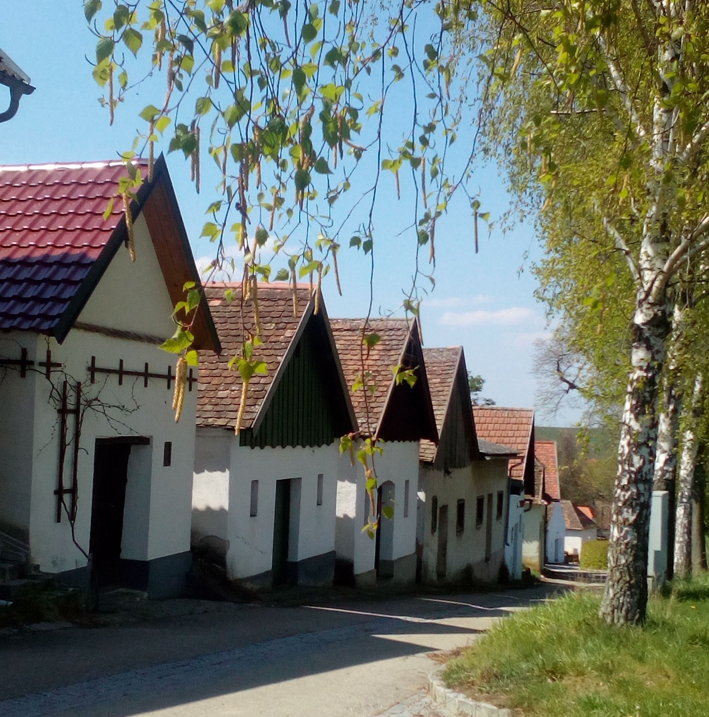 Reihe von traditionellen Weinkellern in Kammersdorf, umgeben von Bäumen und blauem Himmel.