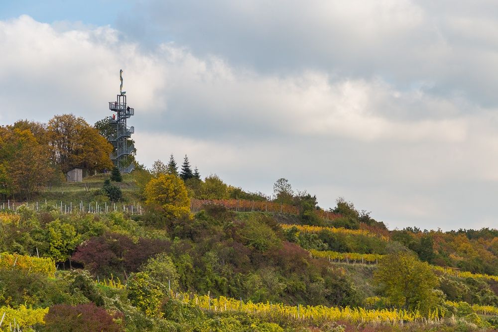 Aussichtsturm inmitten von herbstlichen Weinbergen und Bäumen.