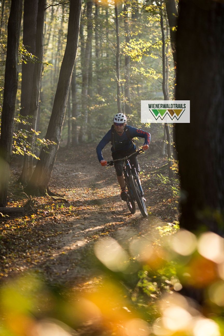 MTB Wienerwald
