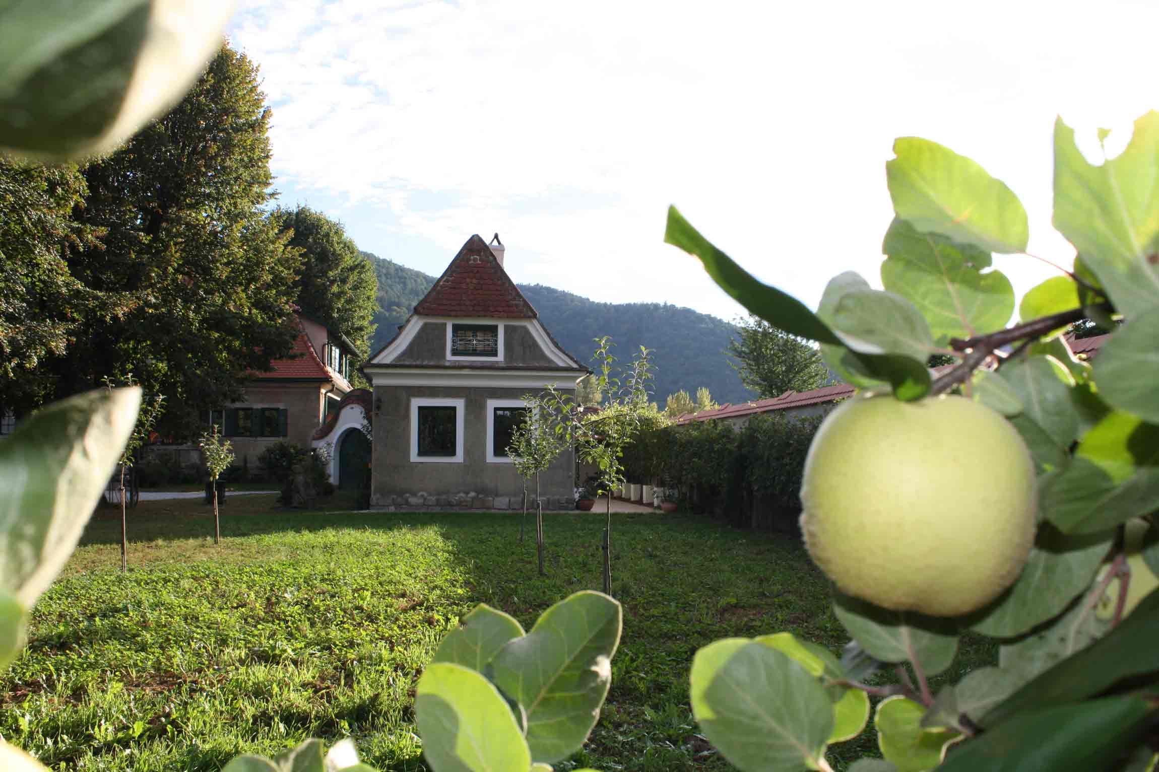 Gartenansicht mit kleinem Haus und Obstbaum im Vordergrund.