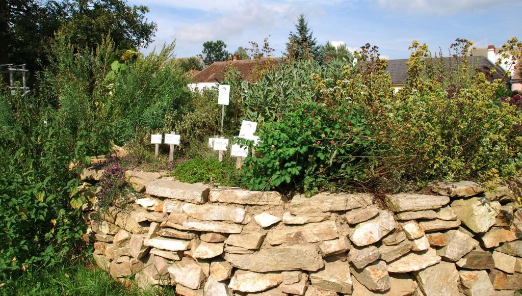 Kräuterbeet auf einer Trockensteinmauer mit Schildern, umgeben von Pflanzen und Bäumen.