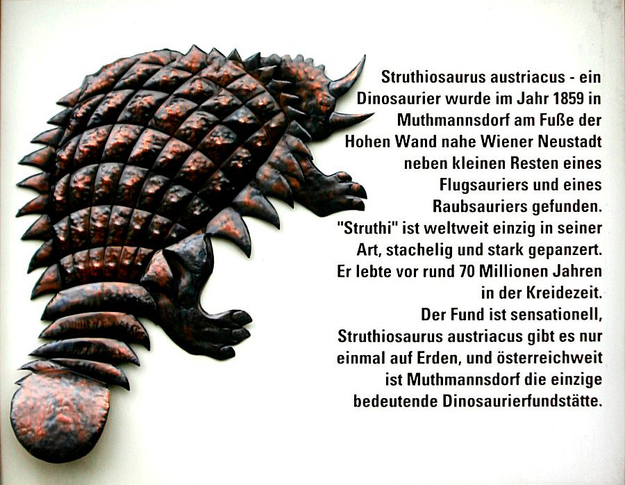 Relief eines gepanzerten Dinosauriers mit Text über den Struthiosaurus austriacus.