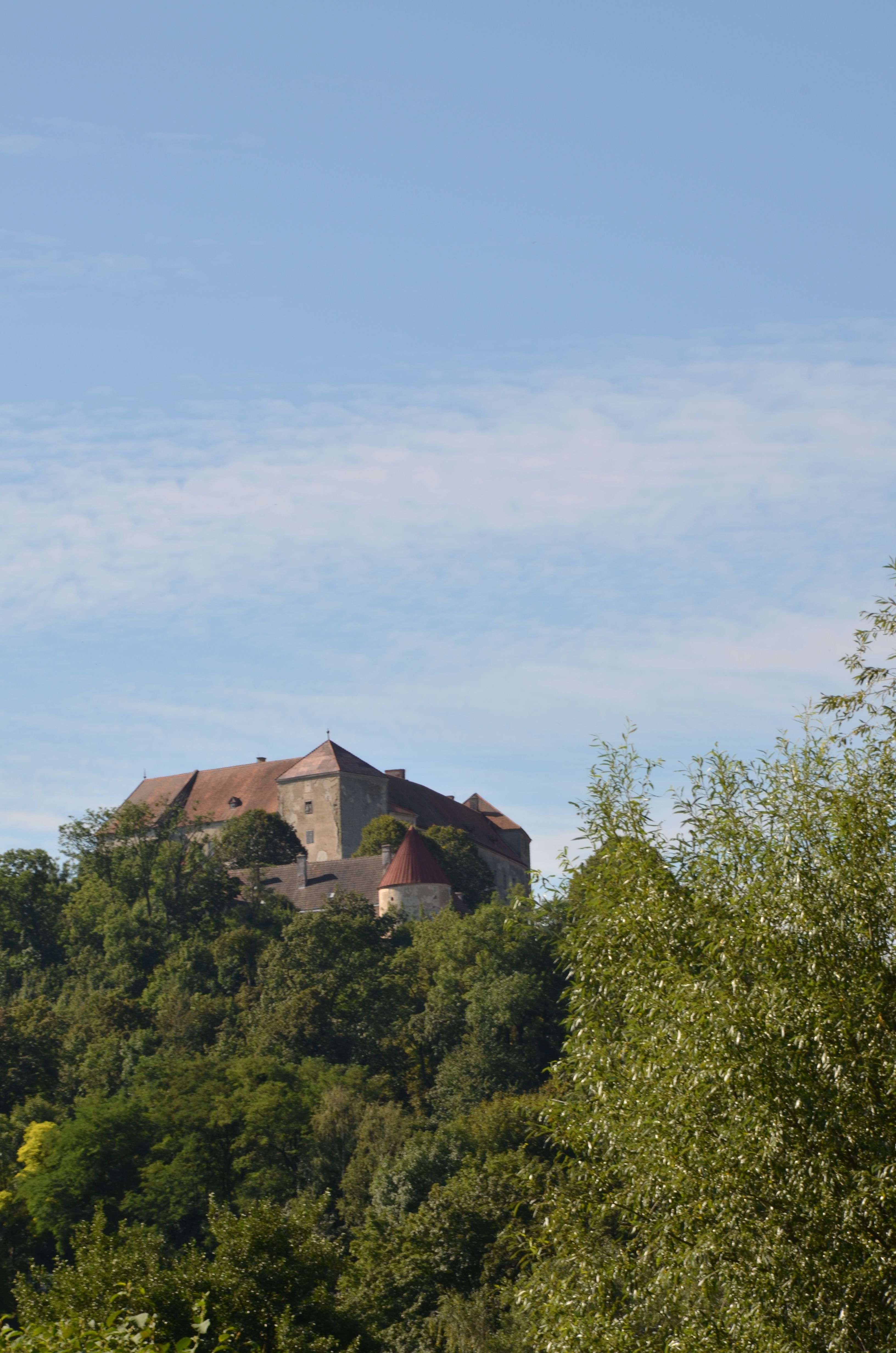 Burg Neulengbach auf einem bewaldeten Hügel unter blauem Himmel.