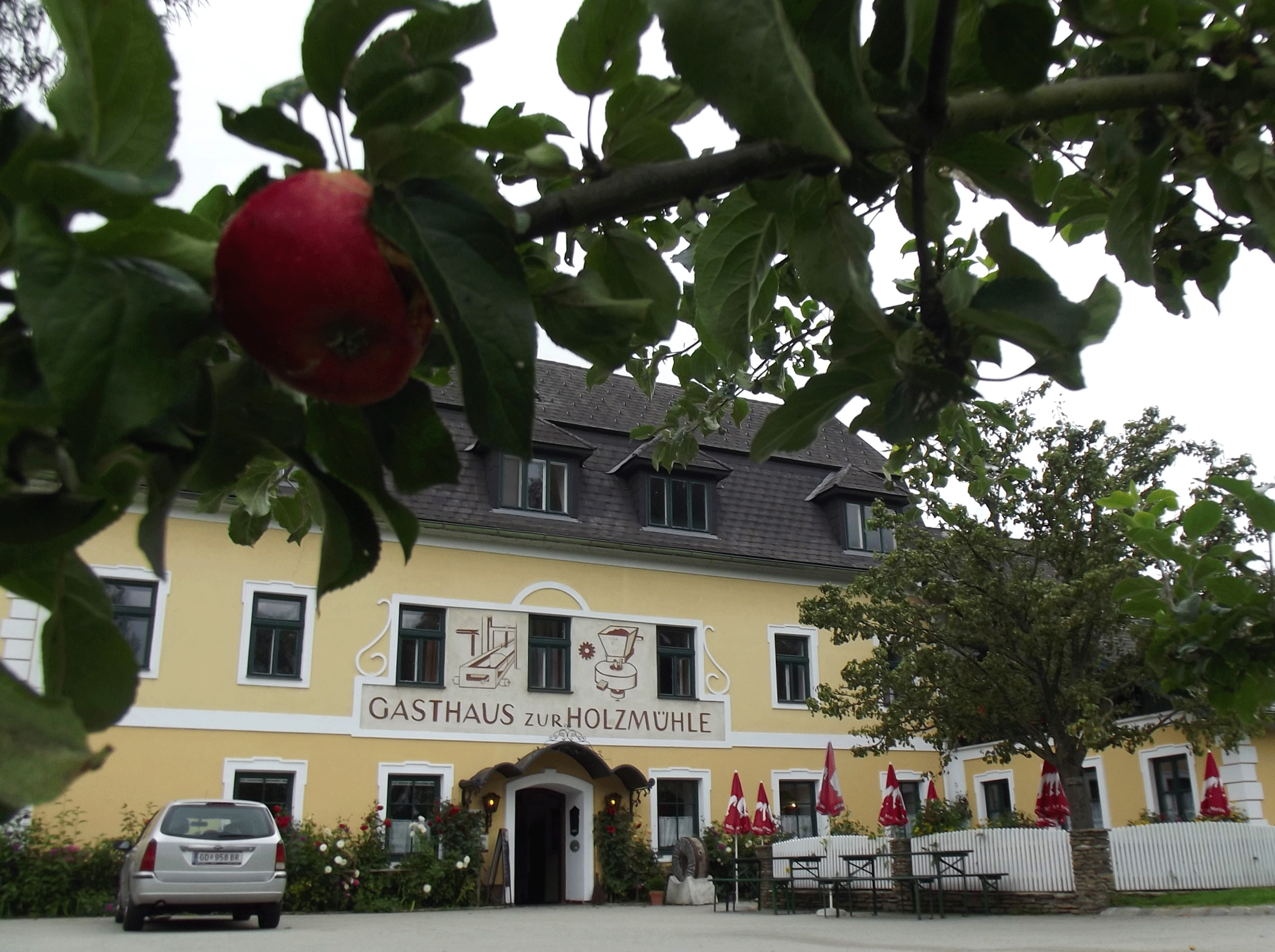 Gasthaus & Ponyhof Holzmühle