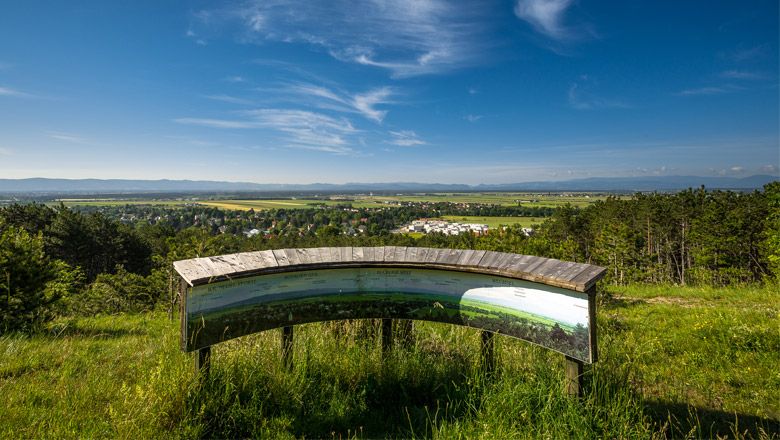 Panoramablick von einem Aussichtspunkt mit Infotafel, im Hintergrund eine weite Landschaft und blauer Himmel.