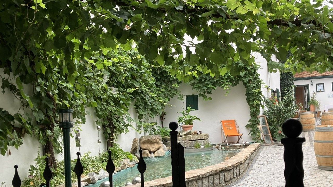 Ein Innenhof mit Weinreben, einem kleinen Teich und einem Liegestuhl.