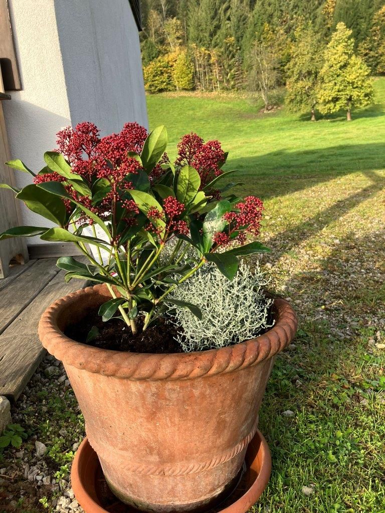 blumen