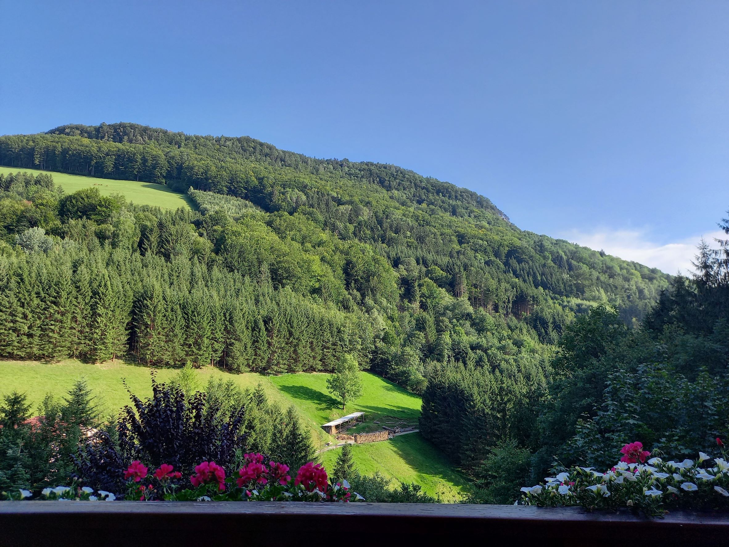 Aussicht Balkon