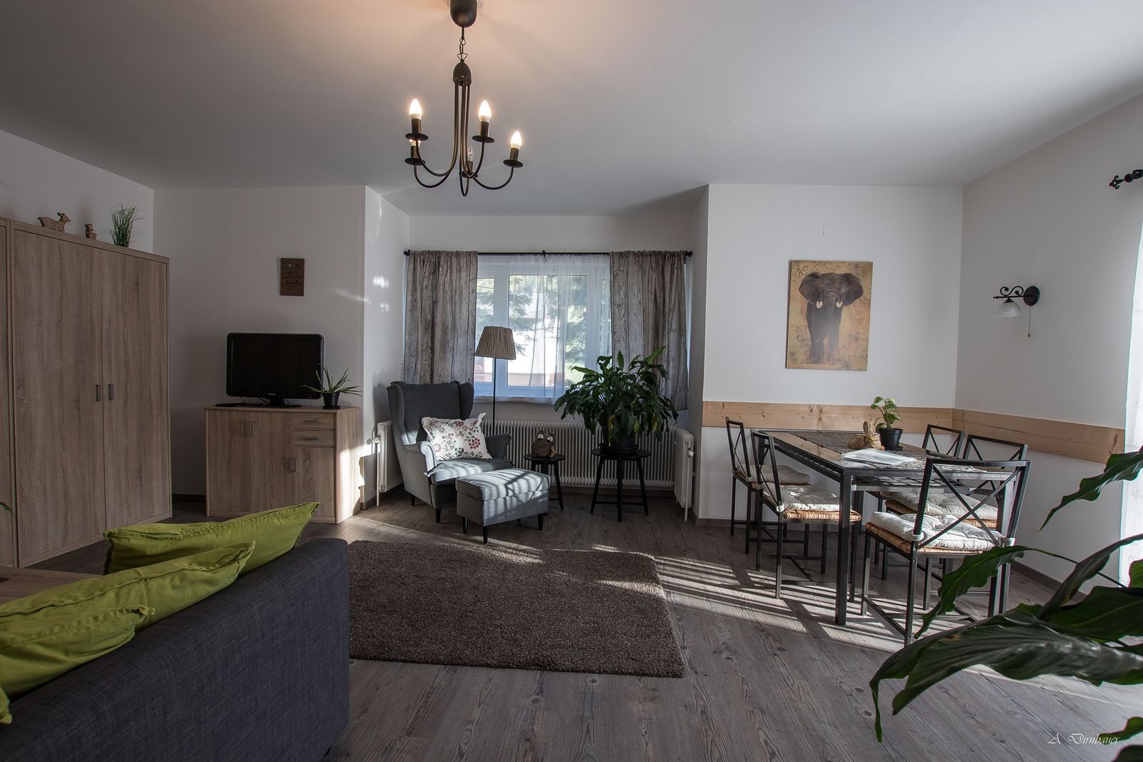 Gemütliches Wohnzimmer mit Sofa, Sessel, Esstisch und Pflanzen.