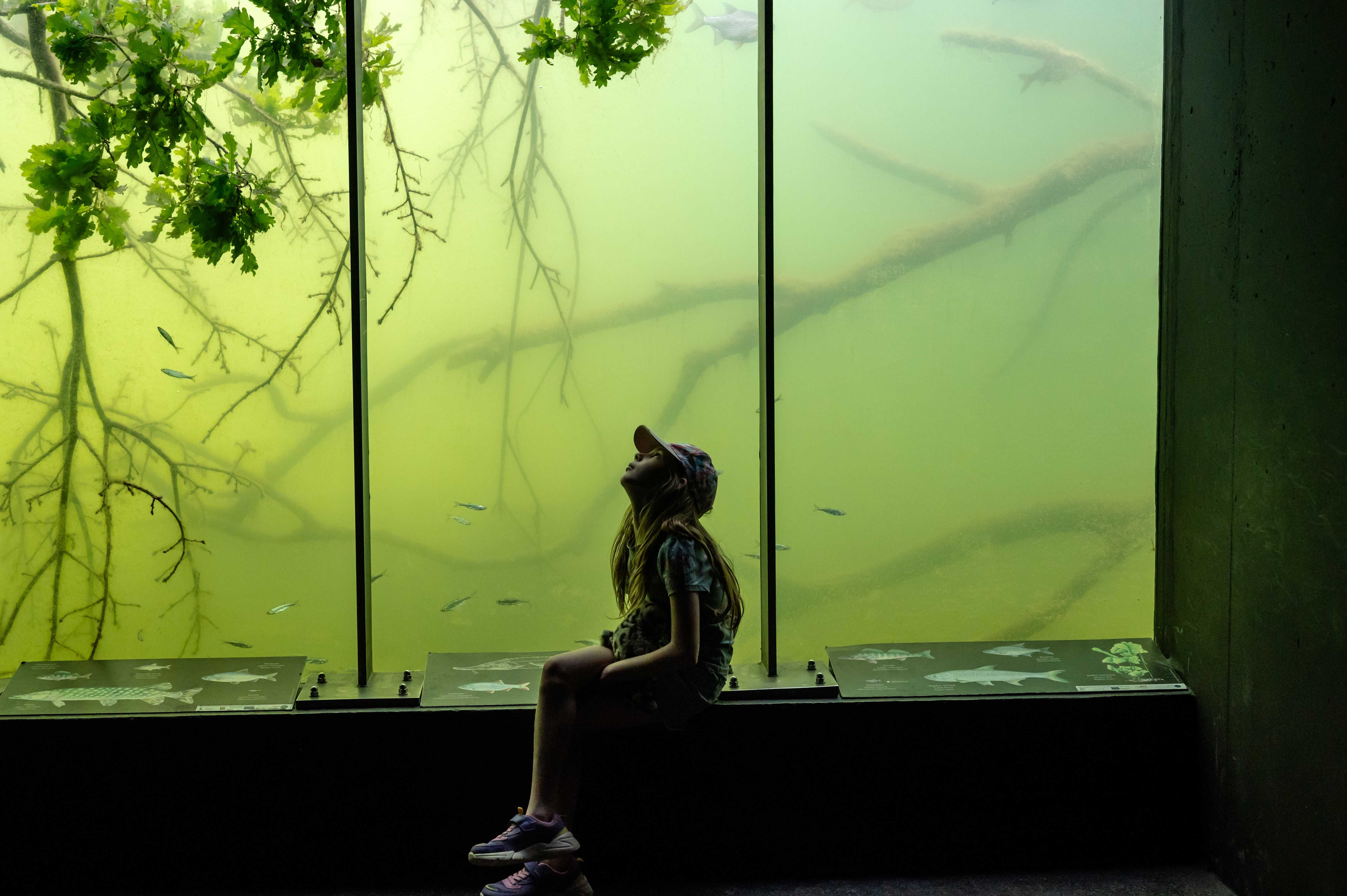 Kind in der Unterwasserstation