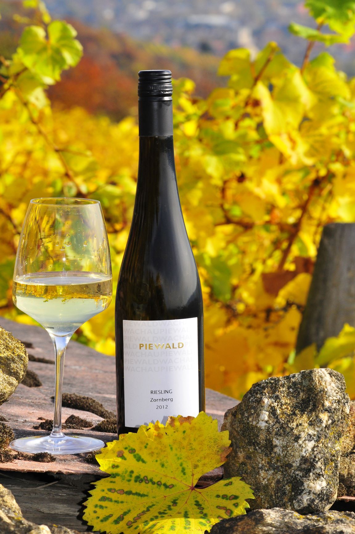 Weinflasche und Glas vor herbstlichen Weinreben.