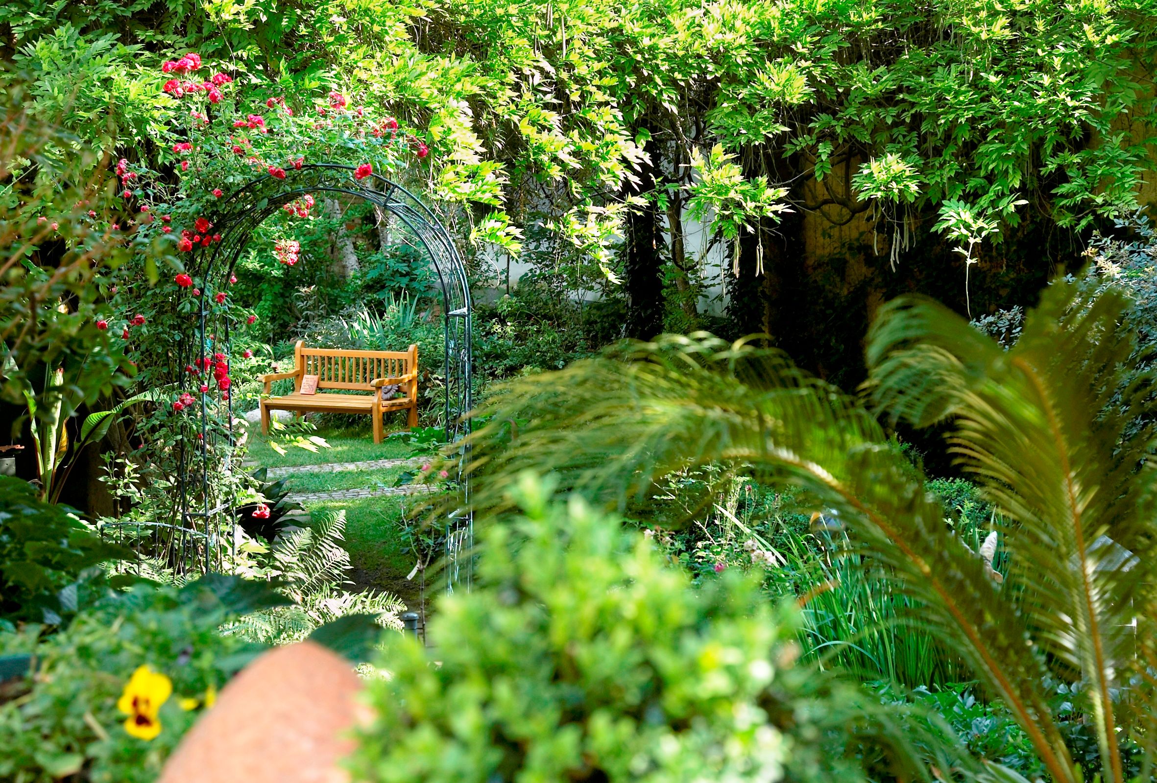 Ein idyllischer Garten mit einer Holzbank unter einem Rosenbogen.