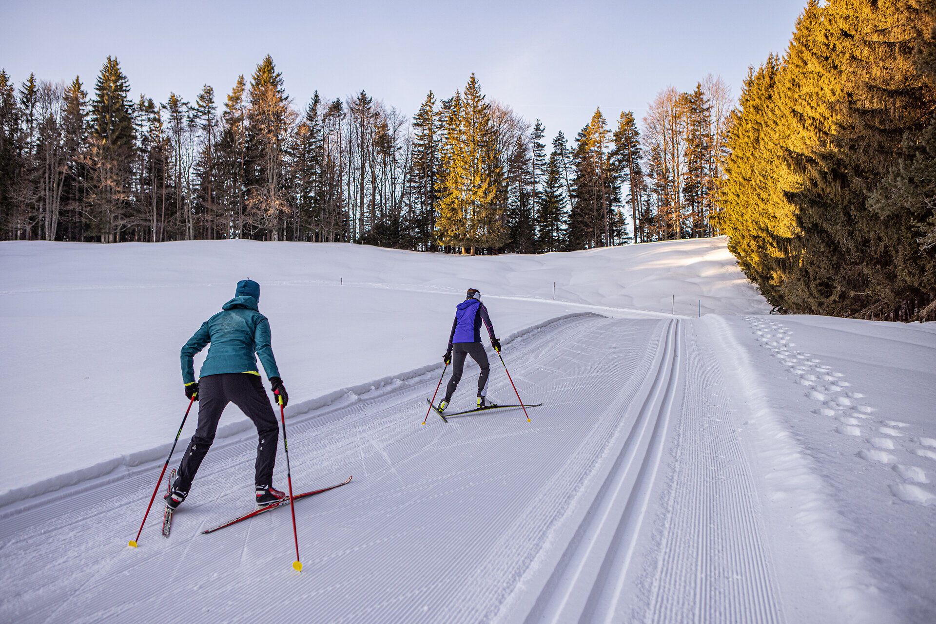 Die glitzernde Schneedecke erstreckt sich über die sanften Hügel, während zwei Langläufer in harmonischem Rhythmus die frisch präparierten Loipen entlang gleiten. Umgeben von majestätischen Nadelbäumen und der klaren Winterluft, erleben sie die Ruhe und Schönheit der winterlichen Landschaft.