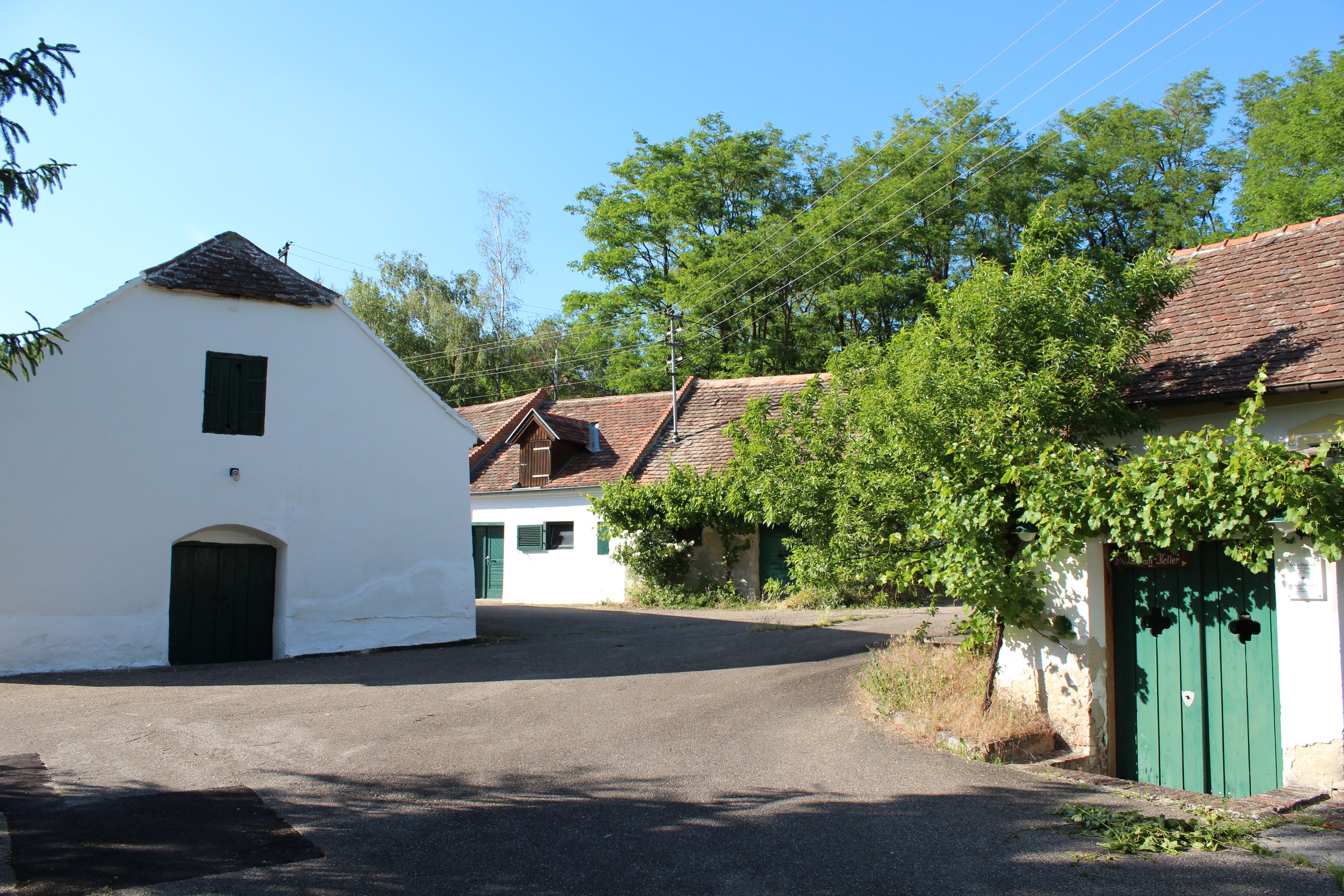 Traditionelle Weinkeller in einer ländlichen Umgebung mit Bäumen und blauem Himmel.